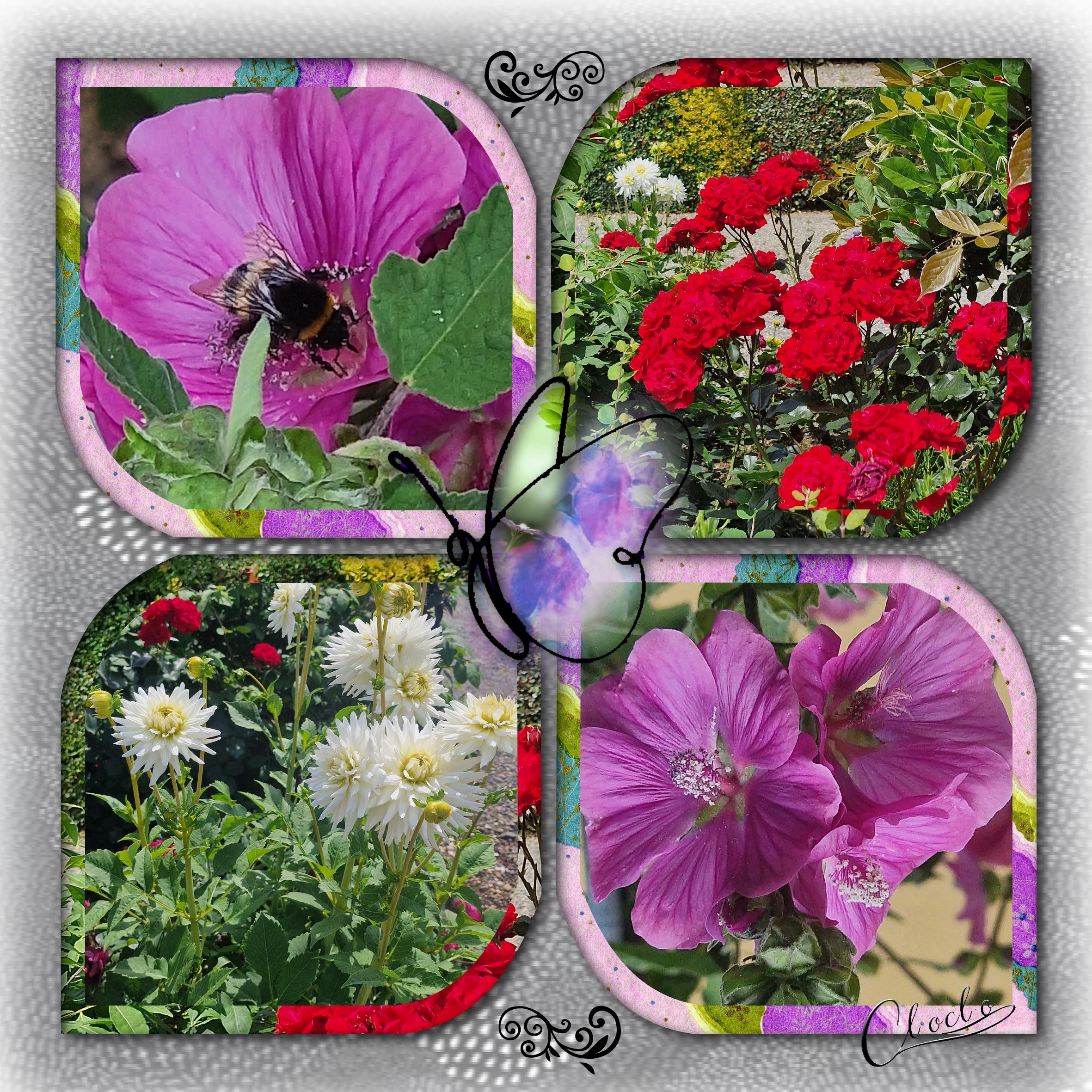 Composition 1 du 4 juin 2023.jpg