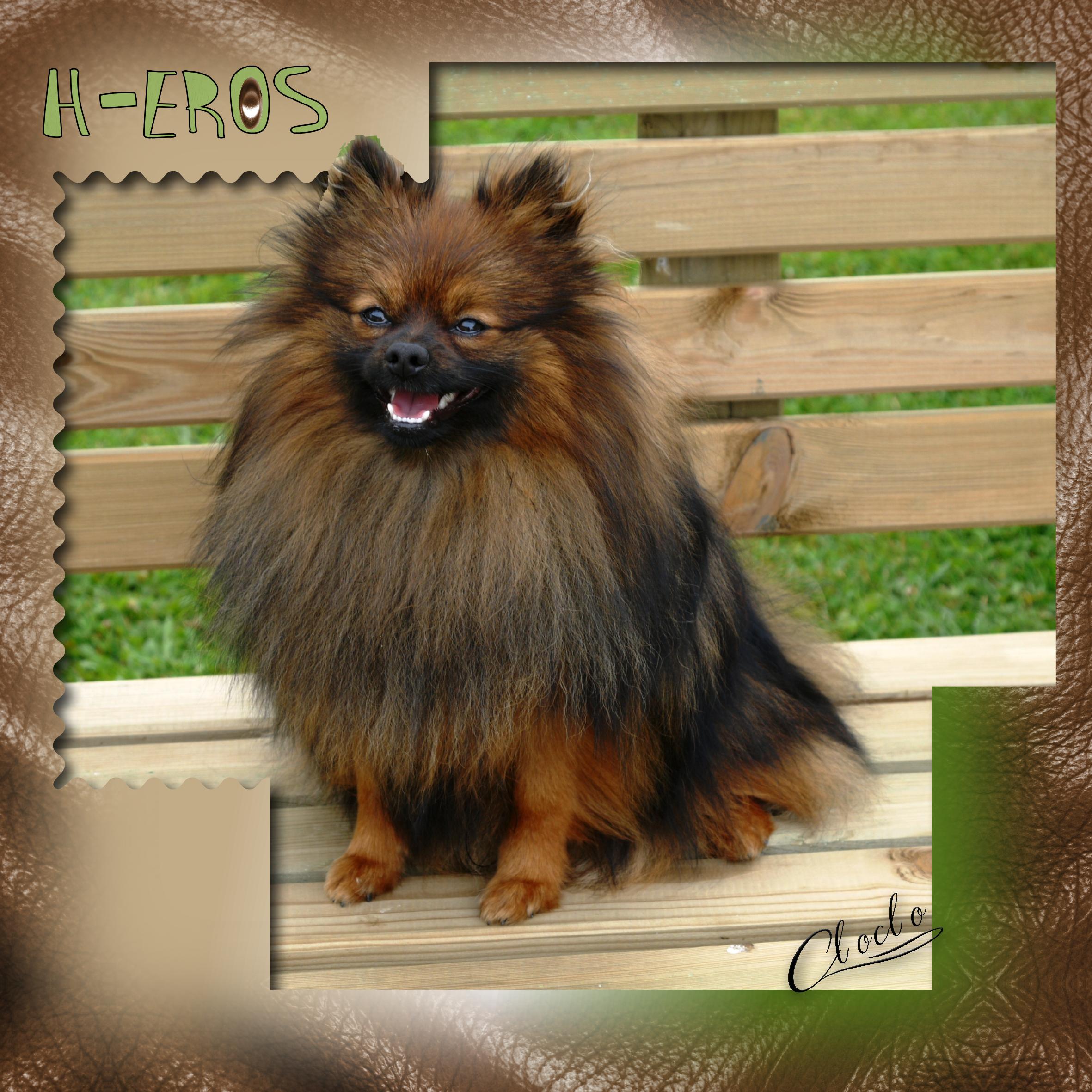 Composition 1 du 5 novembre 2023.jpg