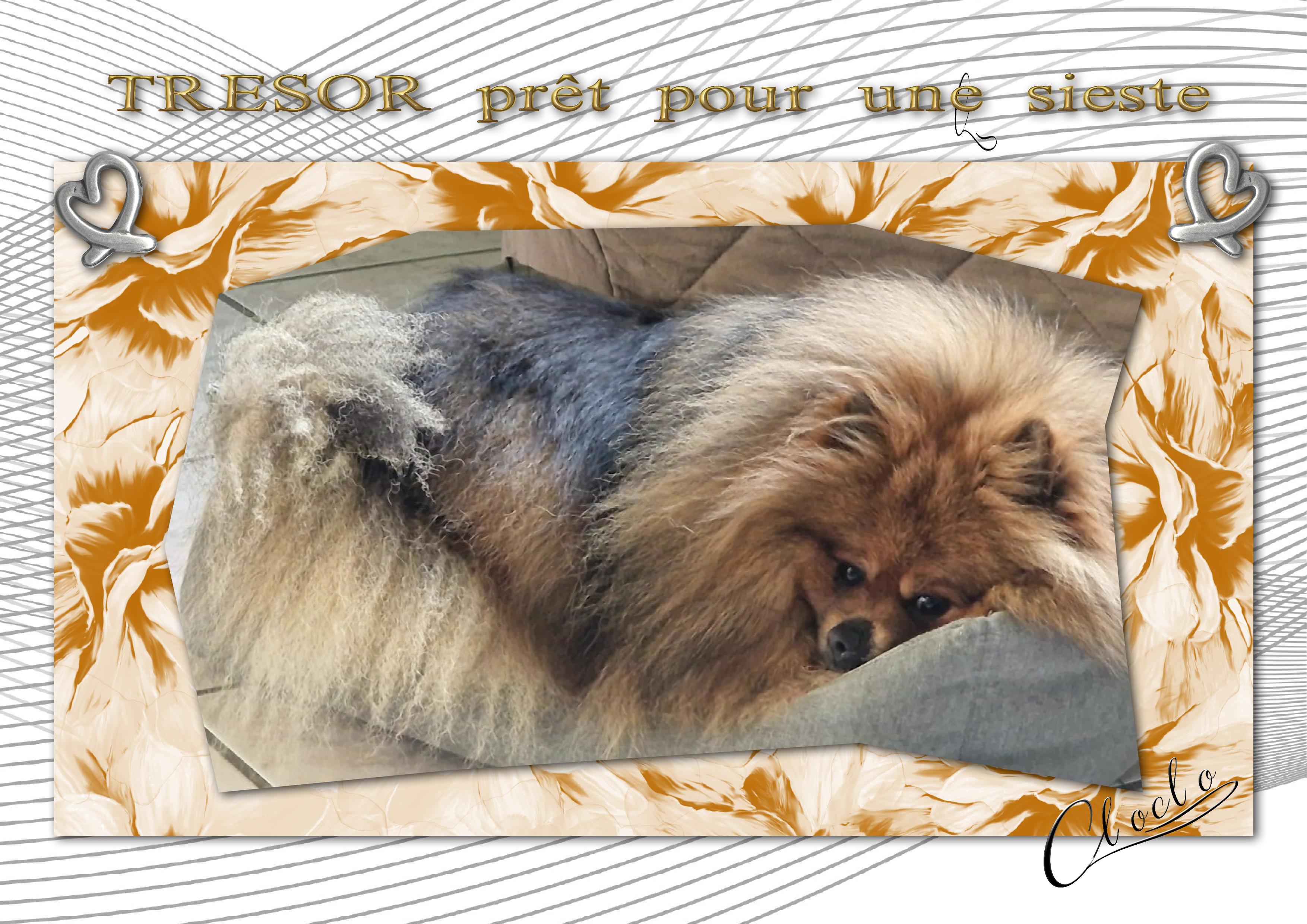 Composition 1 du 6 février 2026 - Copie.jpg