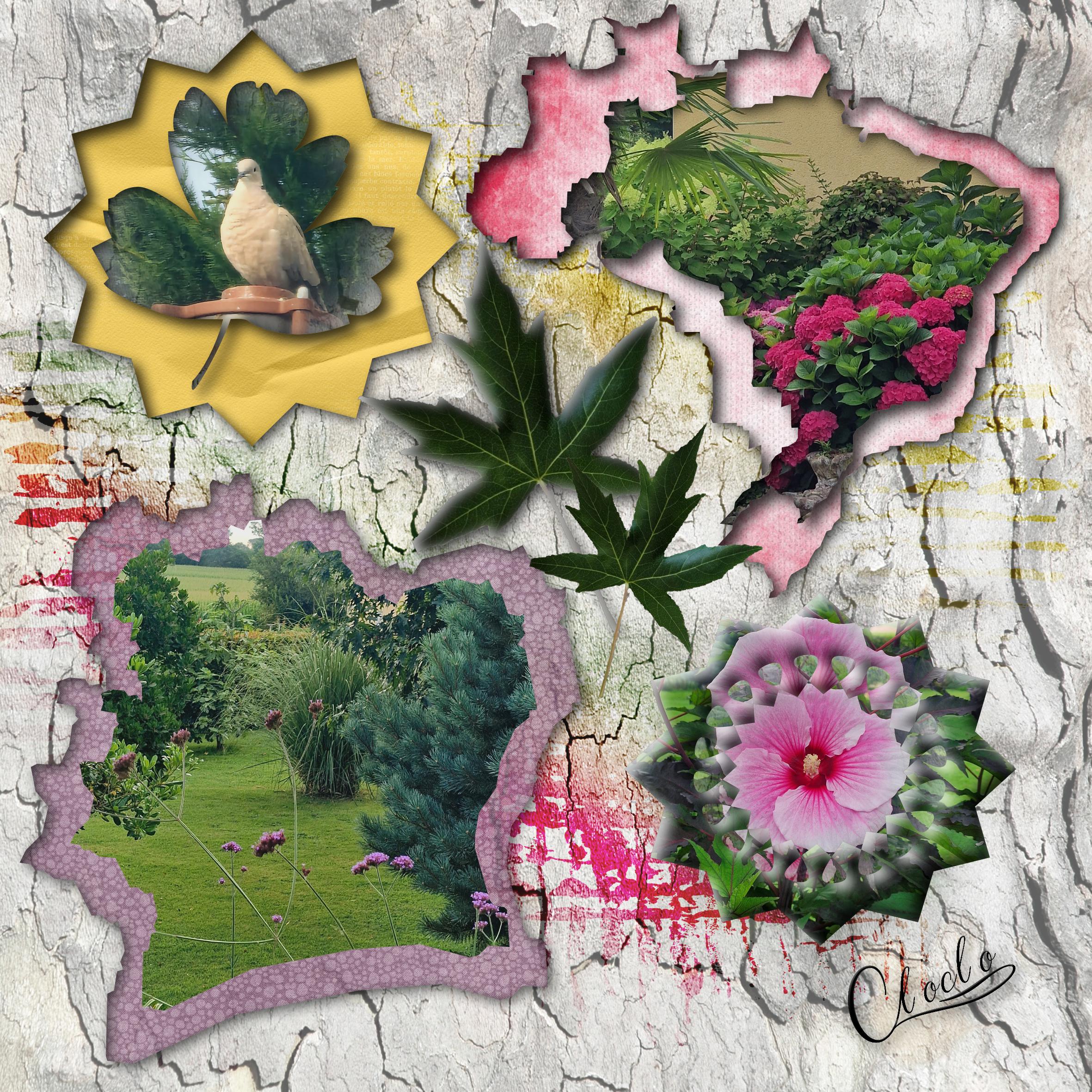 Composition 1 du 6 juillet 2023.jpg