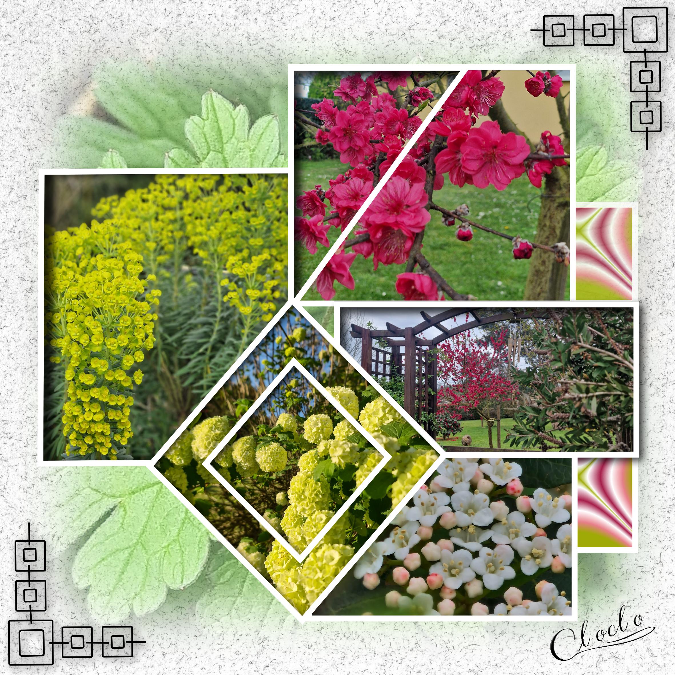 Composition 1 du 6 juin 2023.jpg