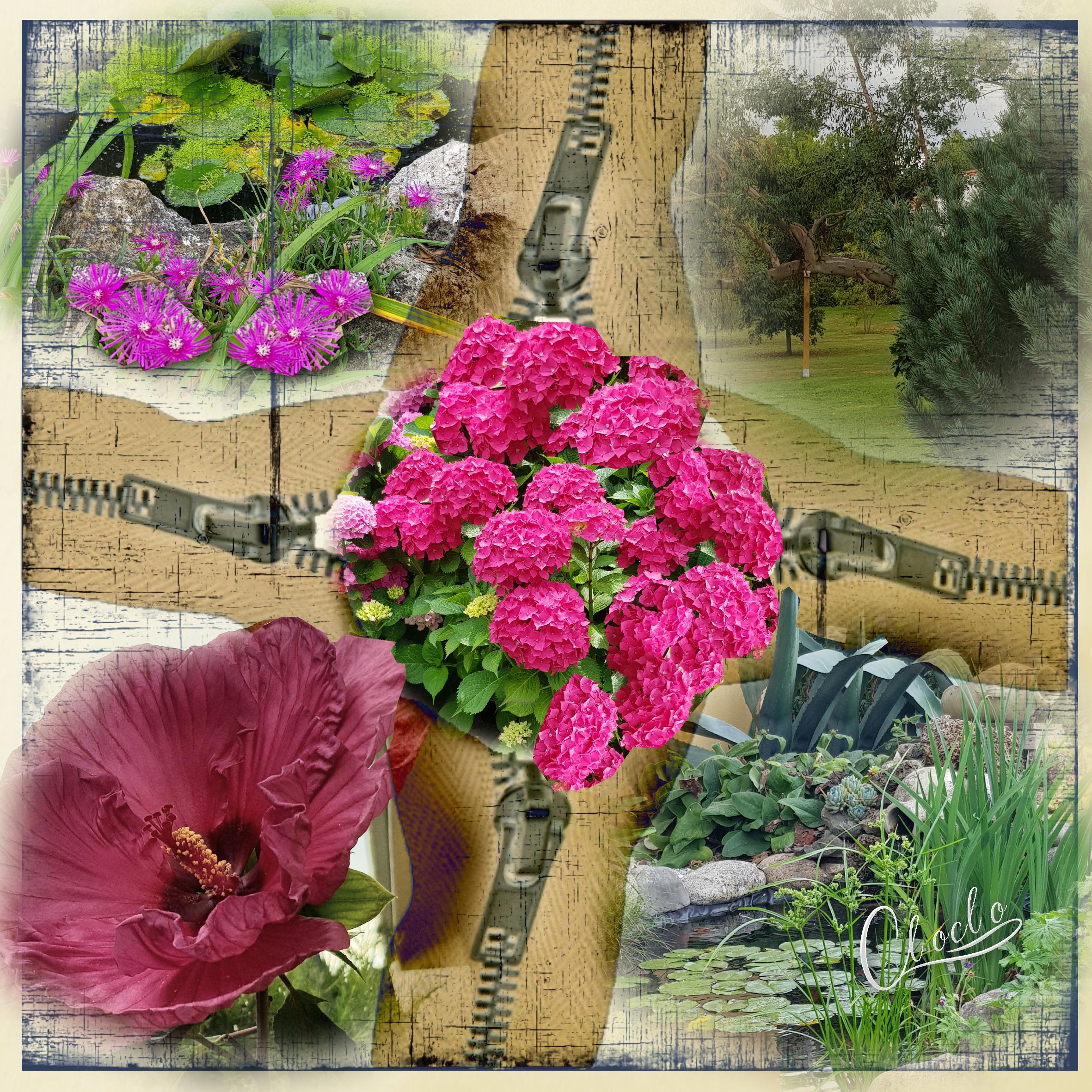 Composition 1 du 6 mars 2023.jpg