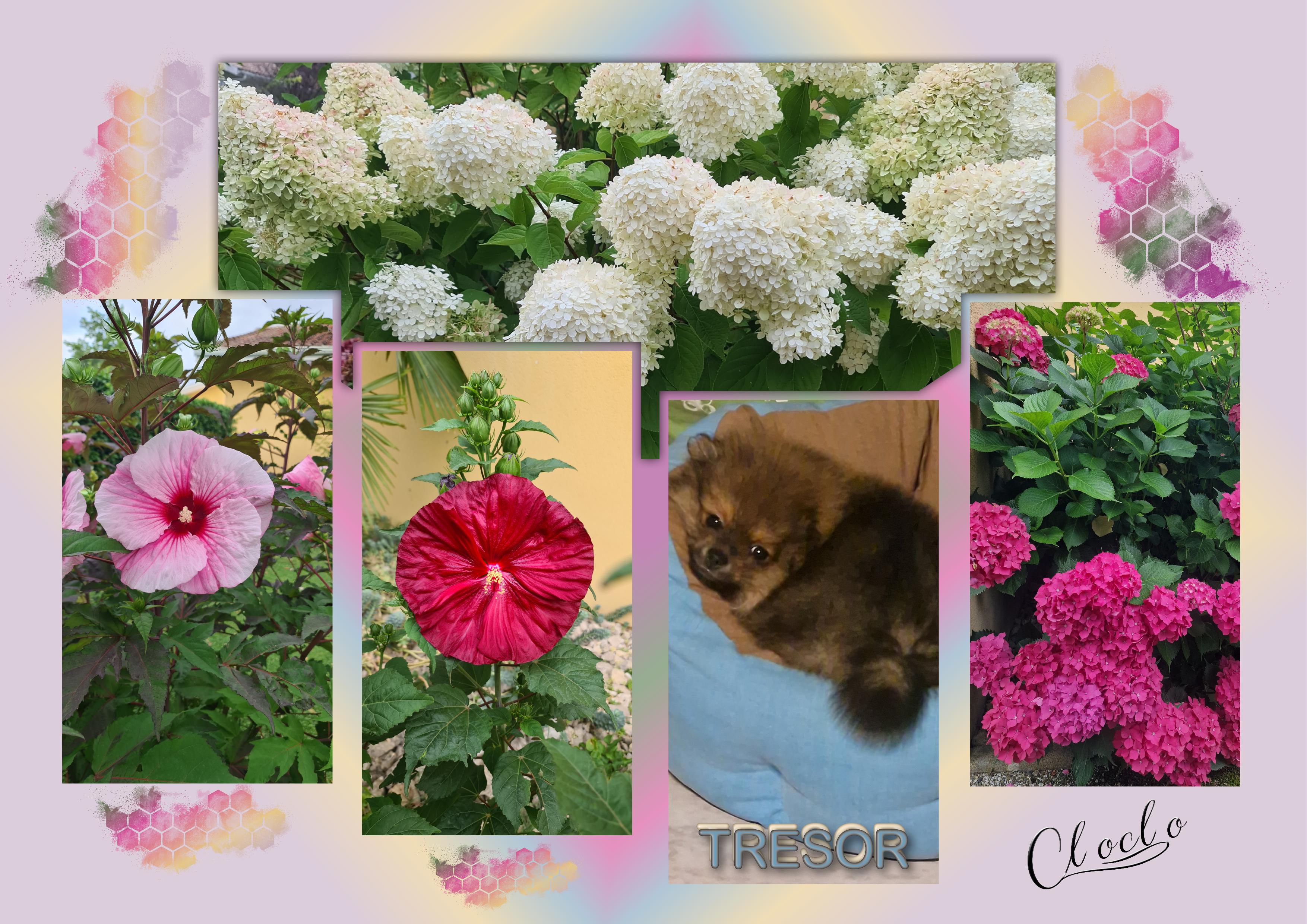 Composition 1 du 7 août 2024.jpg