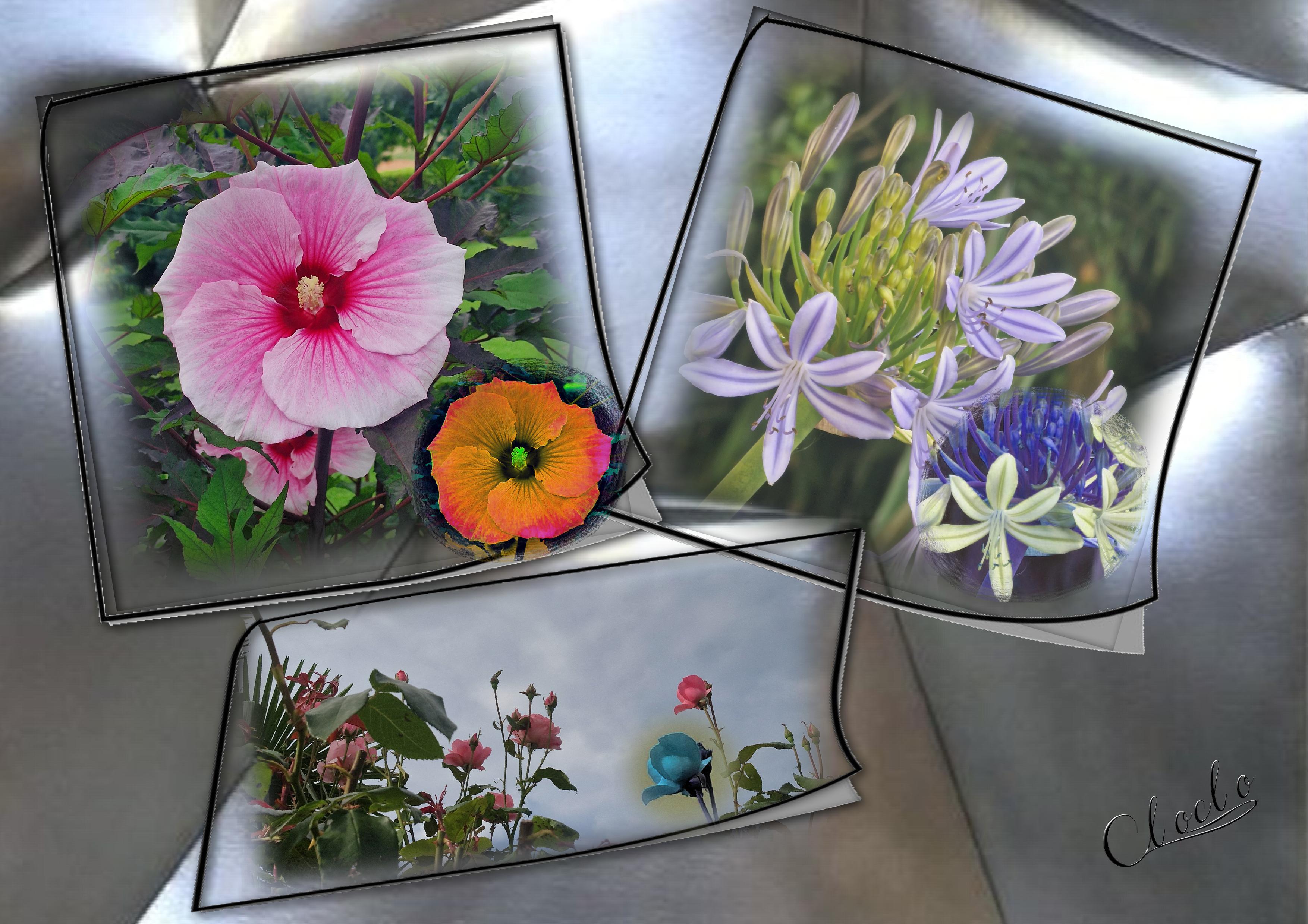 Composition 1 du 7 juillet 2023.jpg