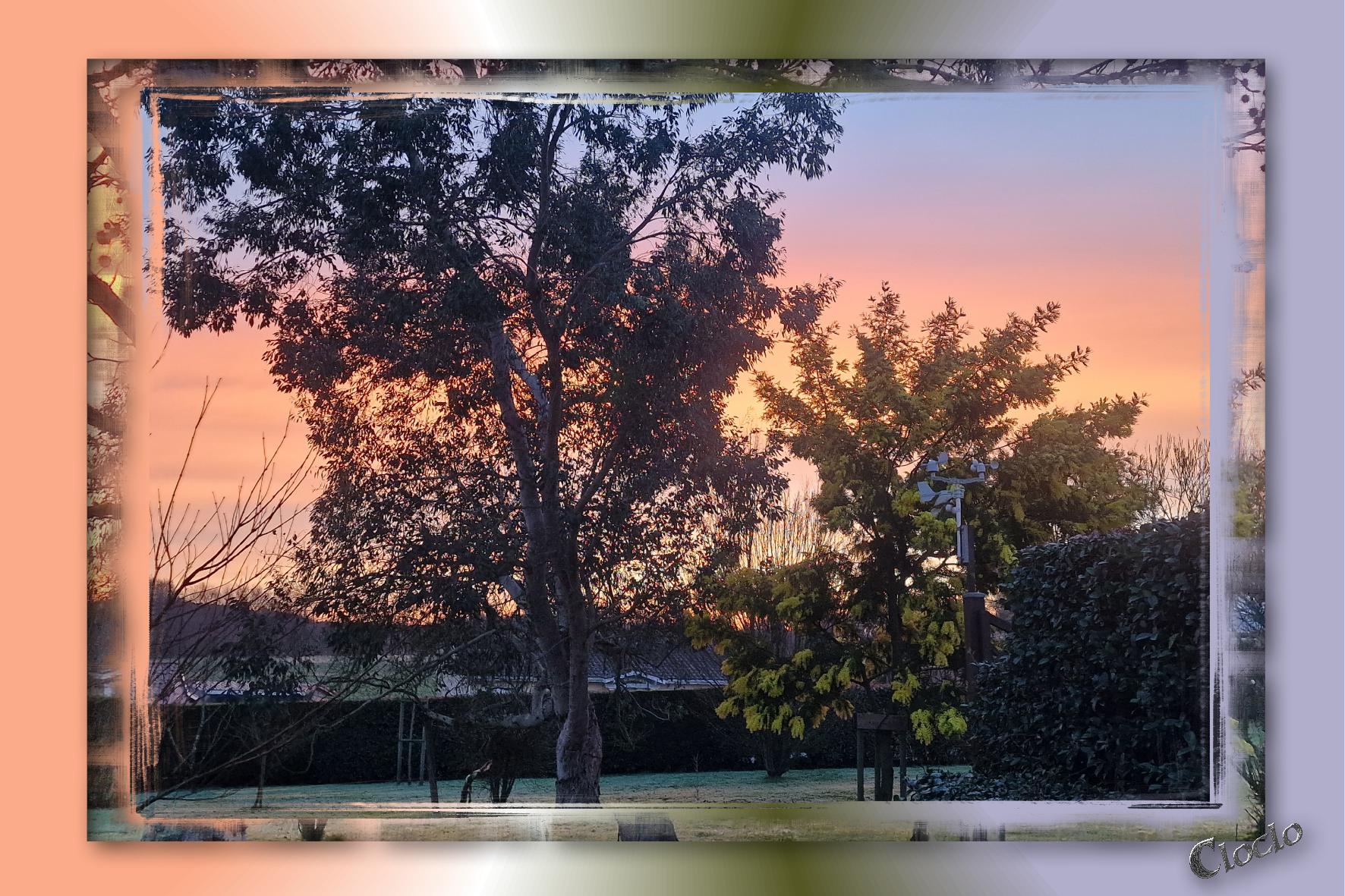 Composition 1 du 7 mars 2024.jpg