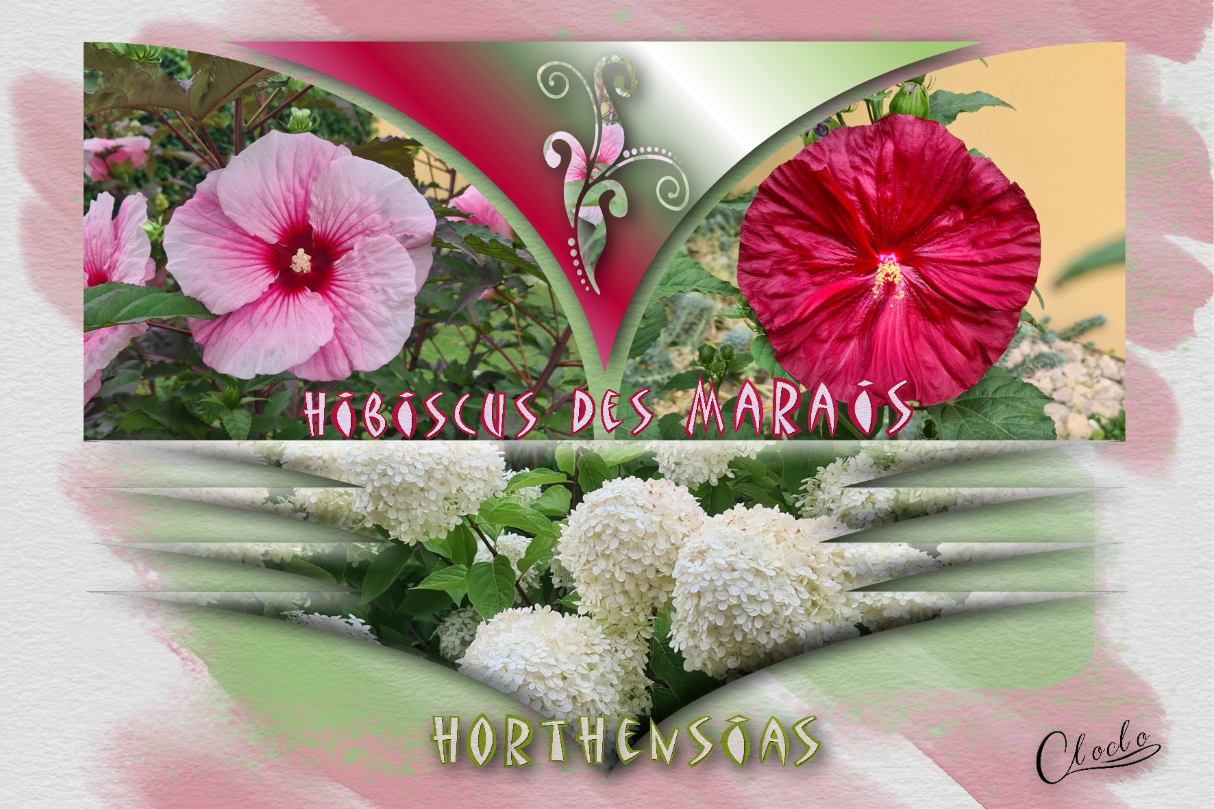 Composition 1 du 8 août 2024.jpg