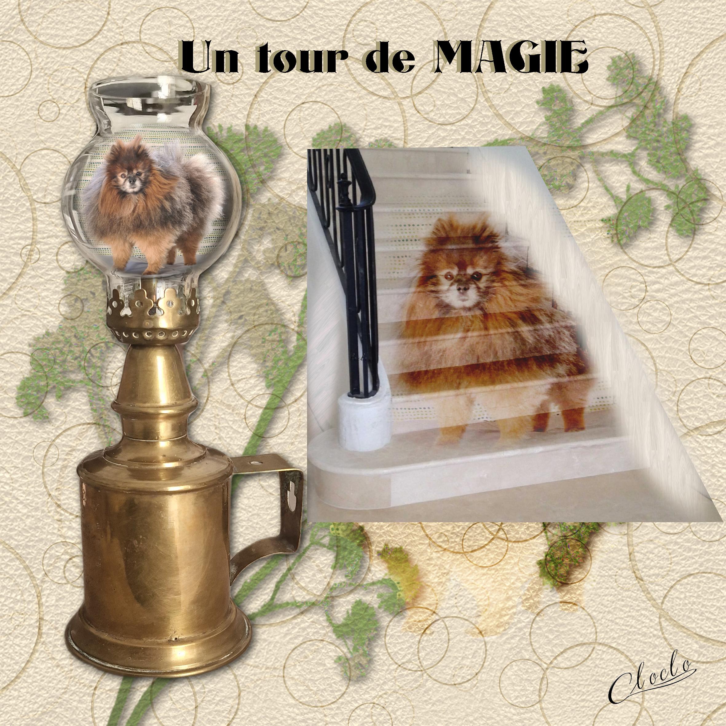 Composition 1 du 8 octobre 2023.jpg