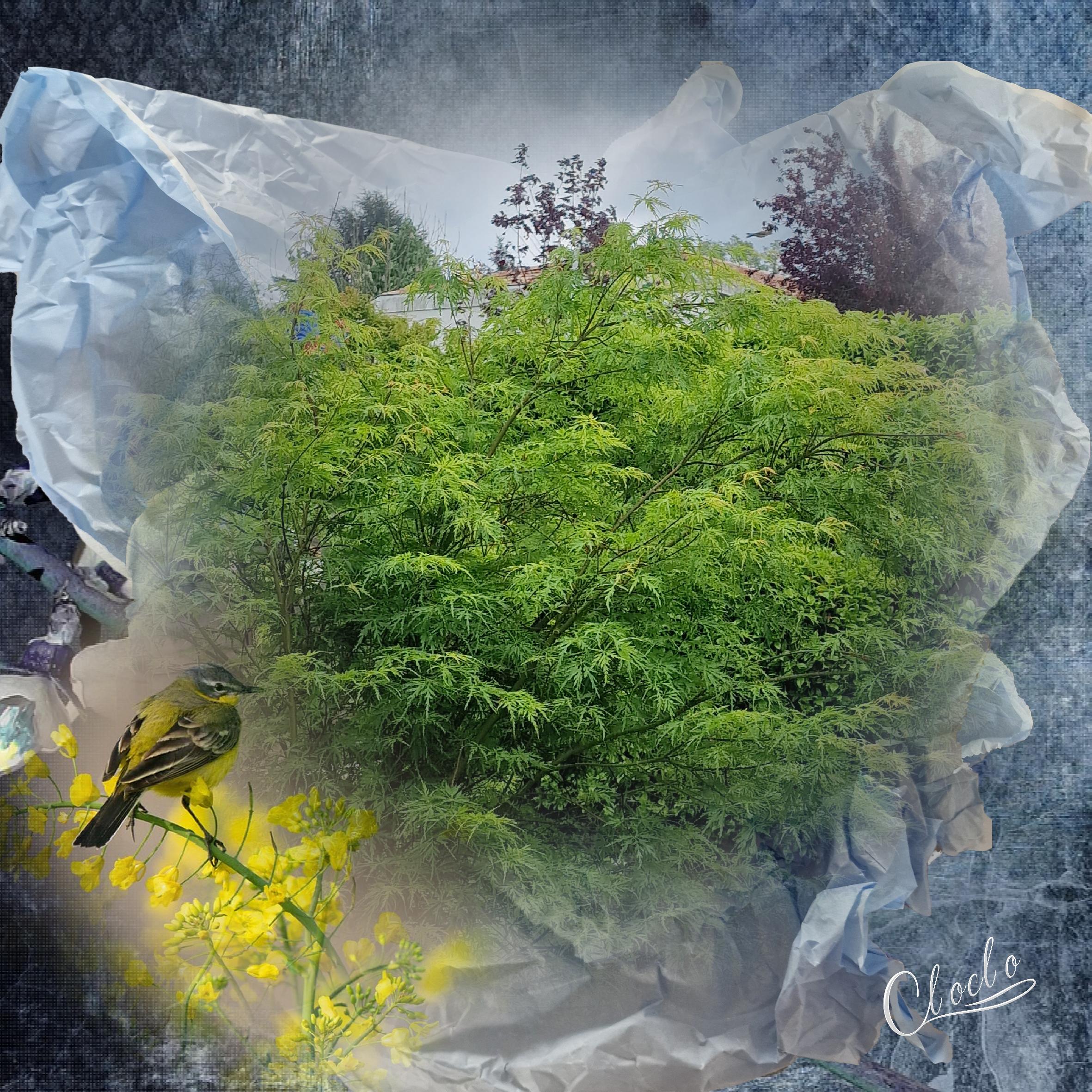 Composition 1 du 9 mai 2023.jpg