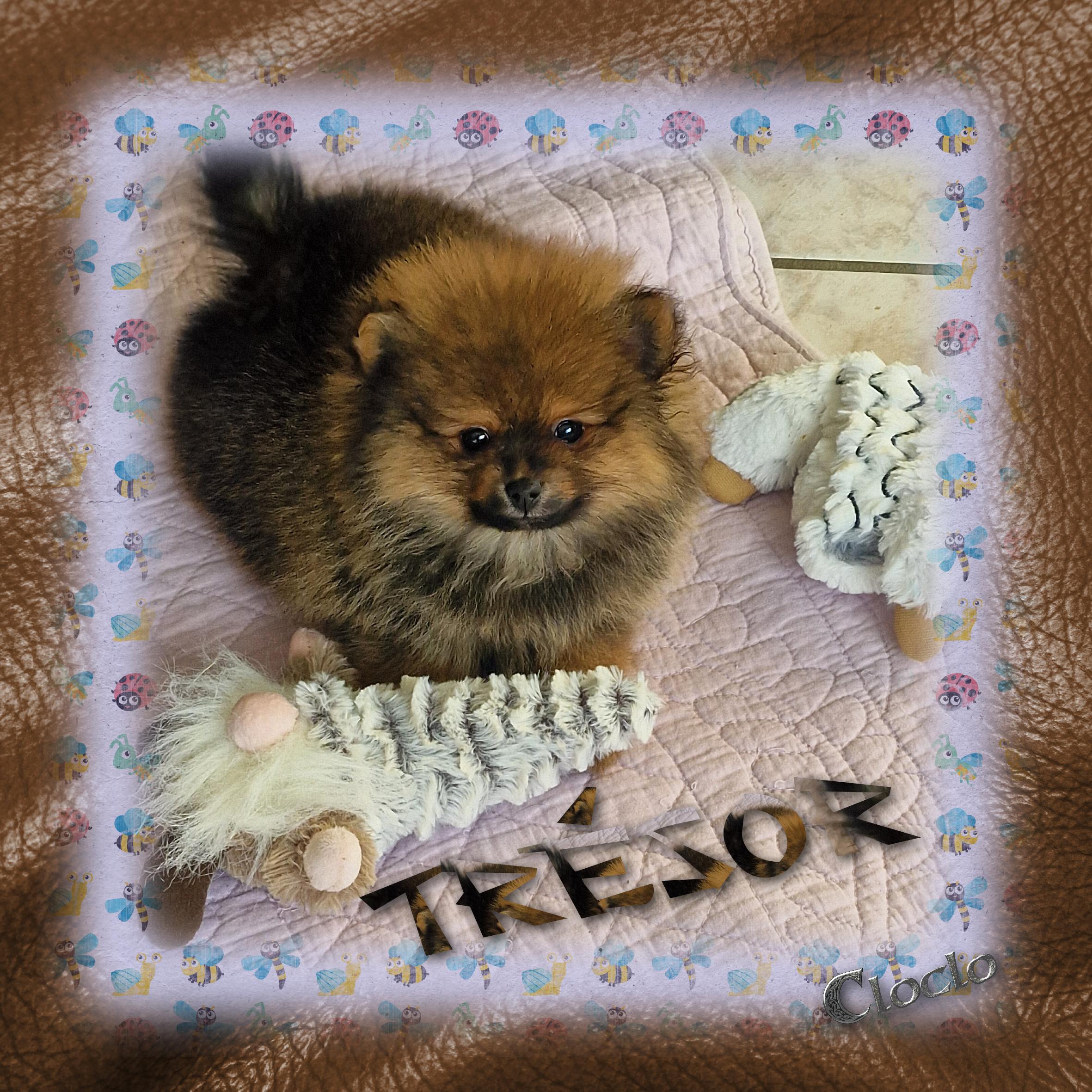 Composition 1 du 9  mars 2024.jpg