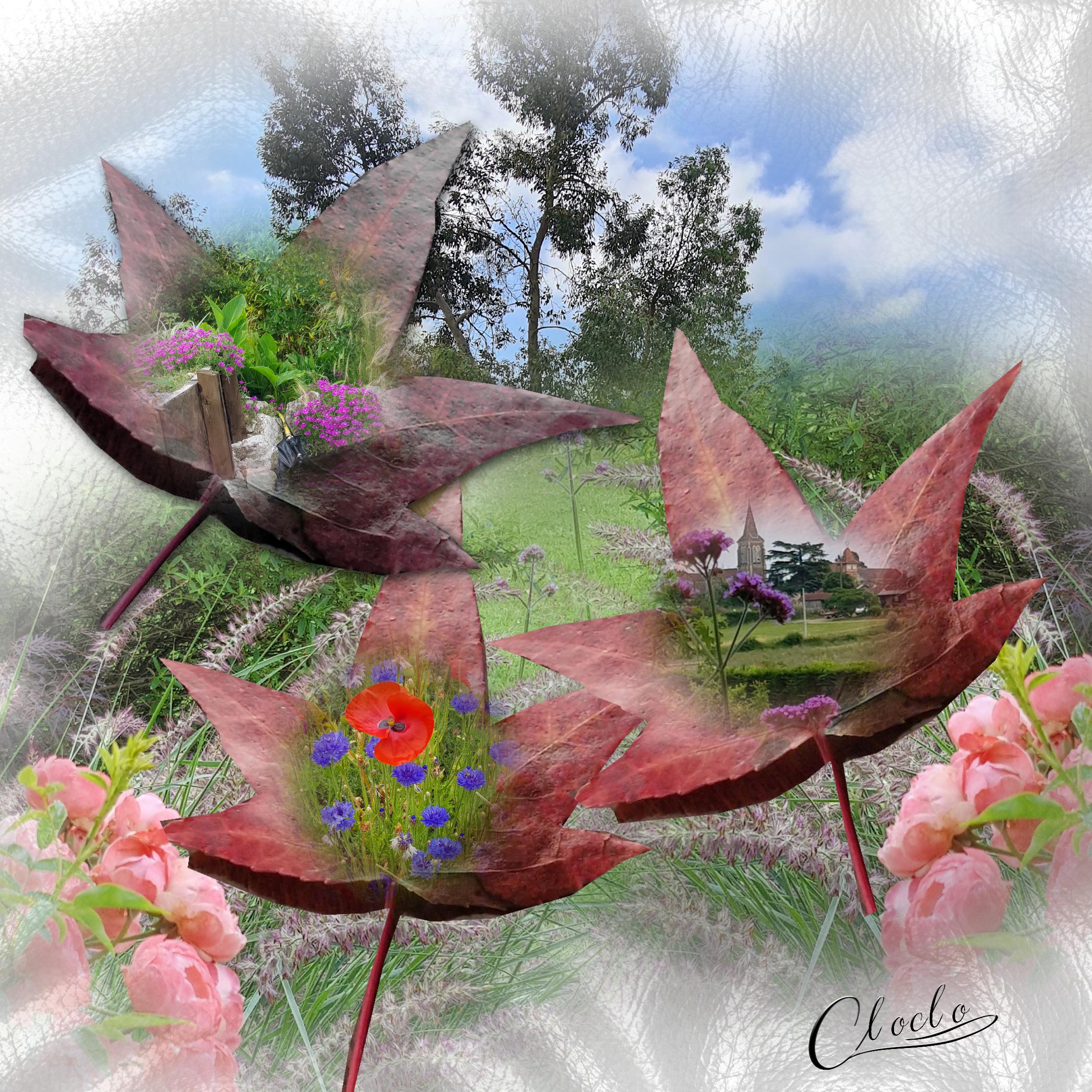 Composition 1A du 6 novembre 2023.jpg