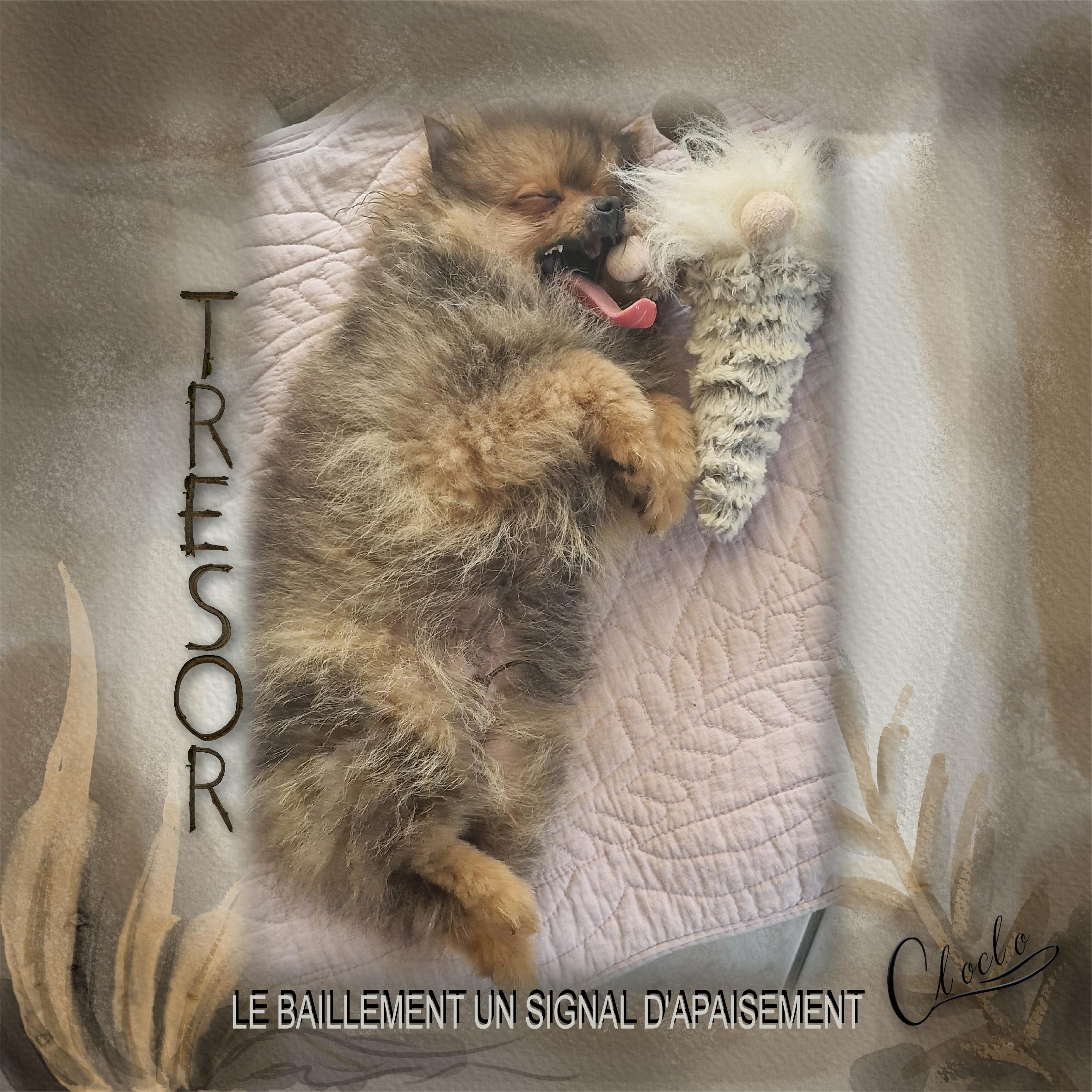 Composition 2 du 1 mai 2024.jpg