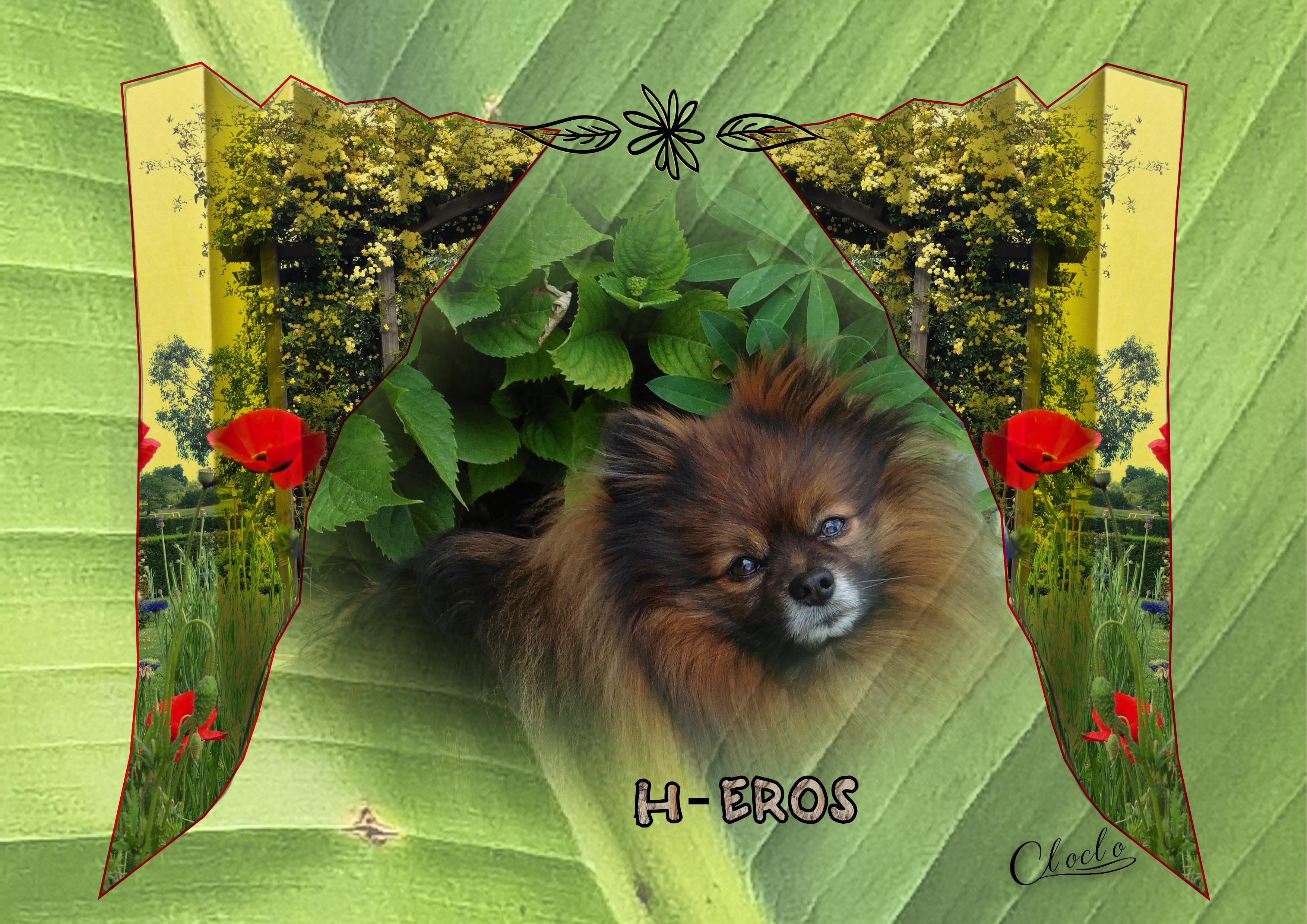 Composition 2 du 10 novembre 2023.jpg