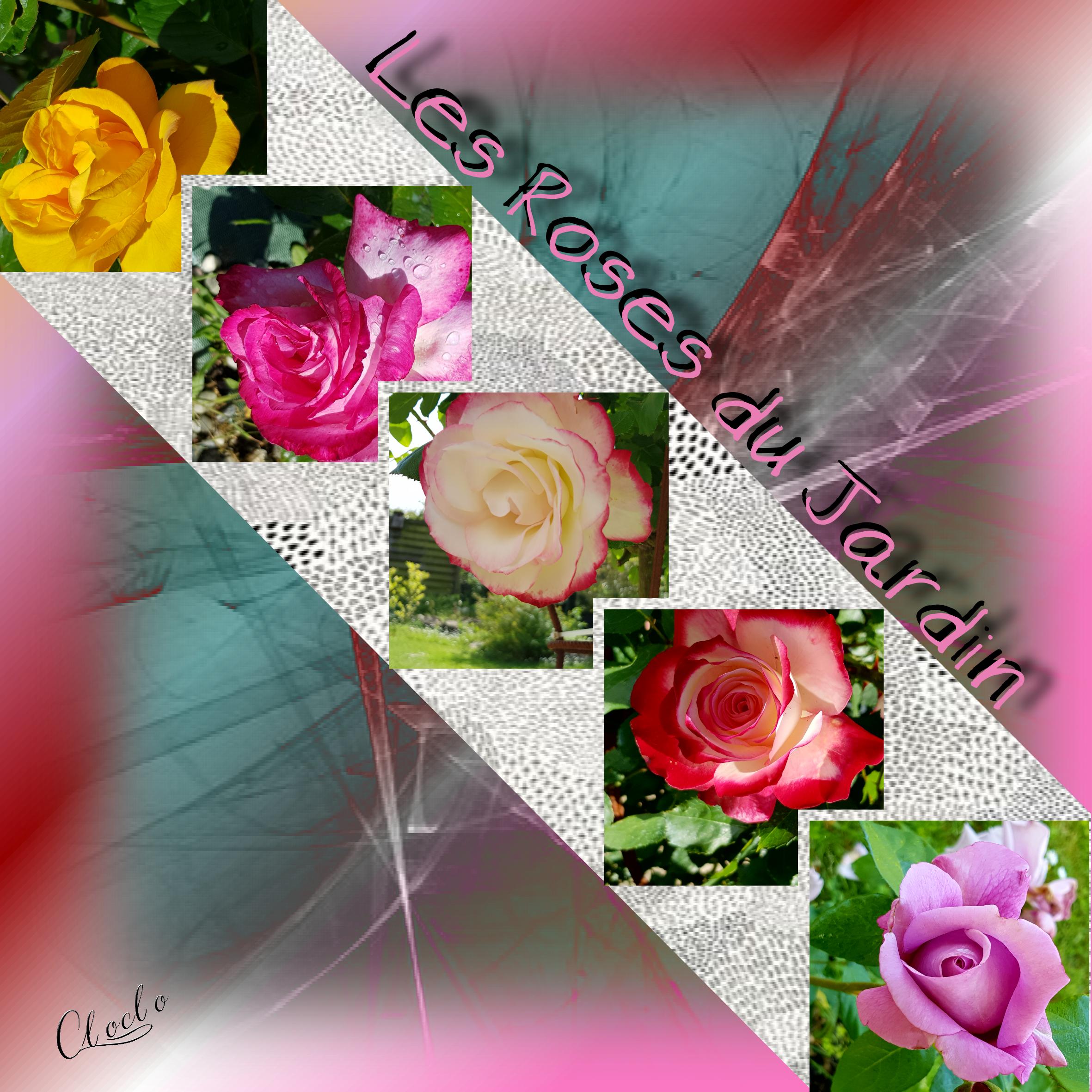 Composition 2 du 11 février 2023.jpg