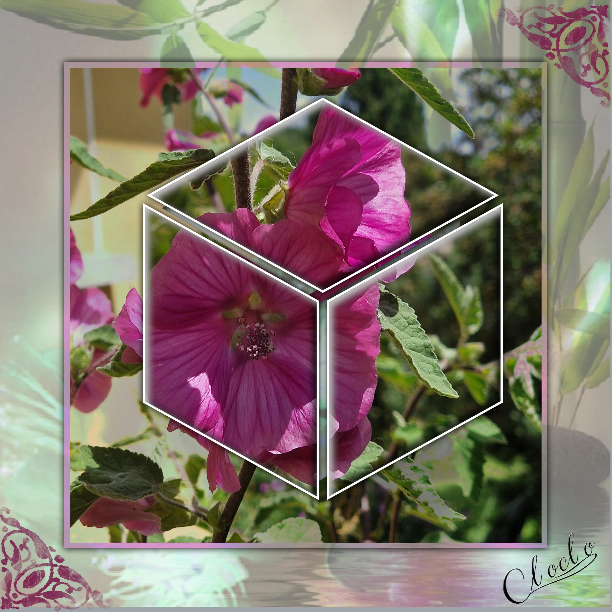 Composition 2 du 11 juin 2023.jpg