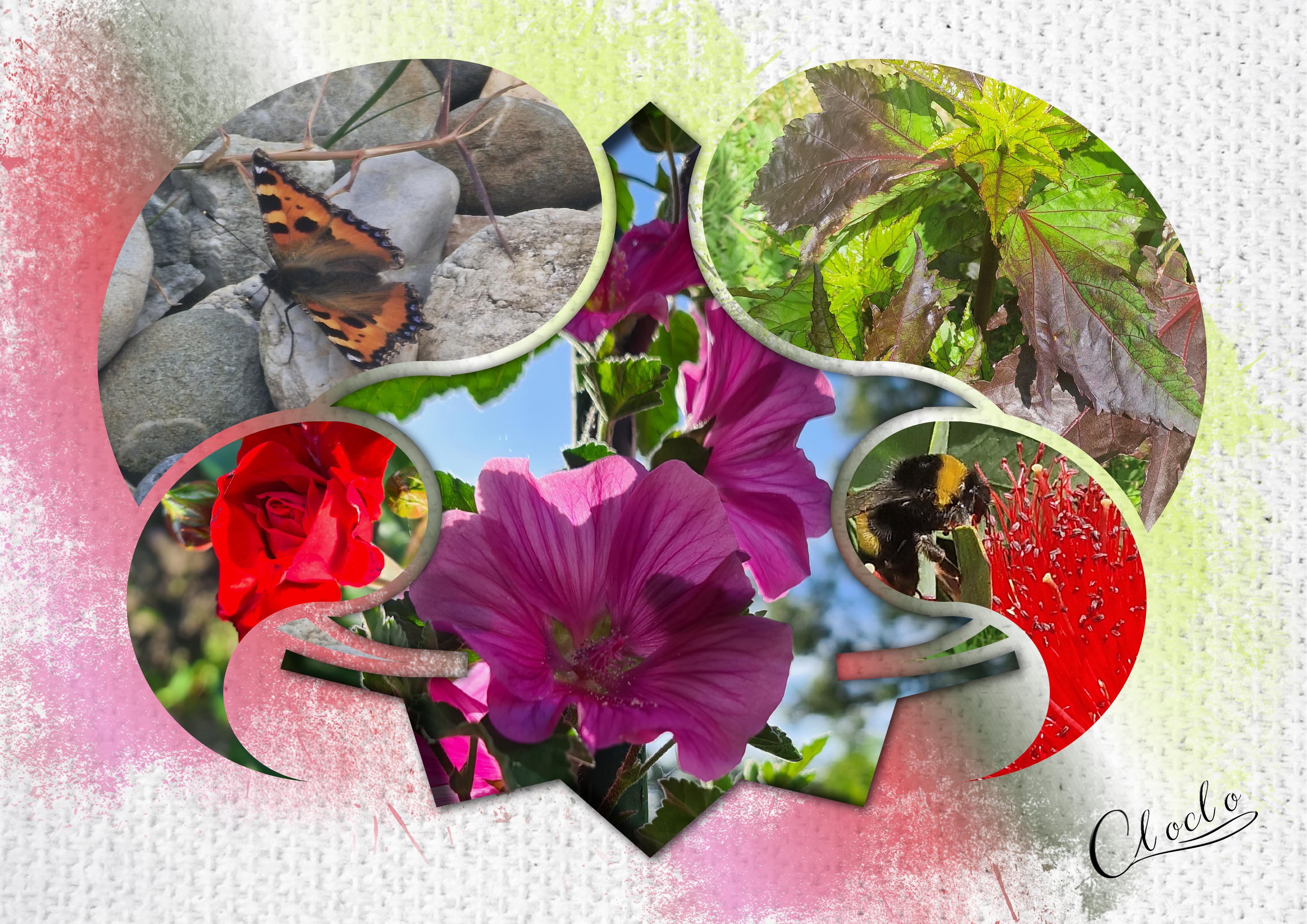 Composition 2 du 17 mai 2023.jpg