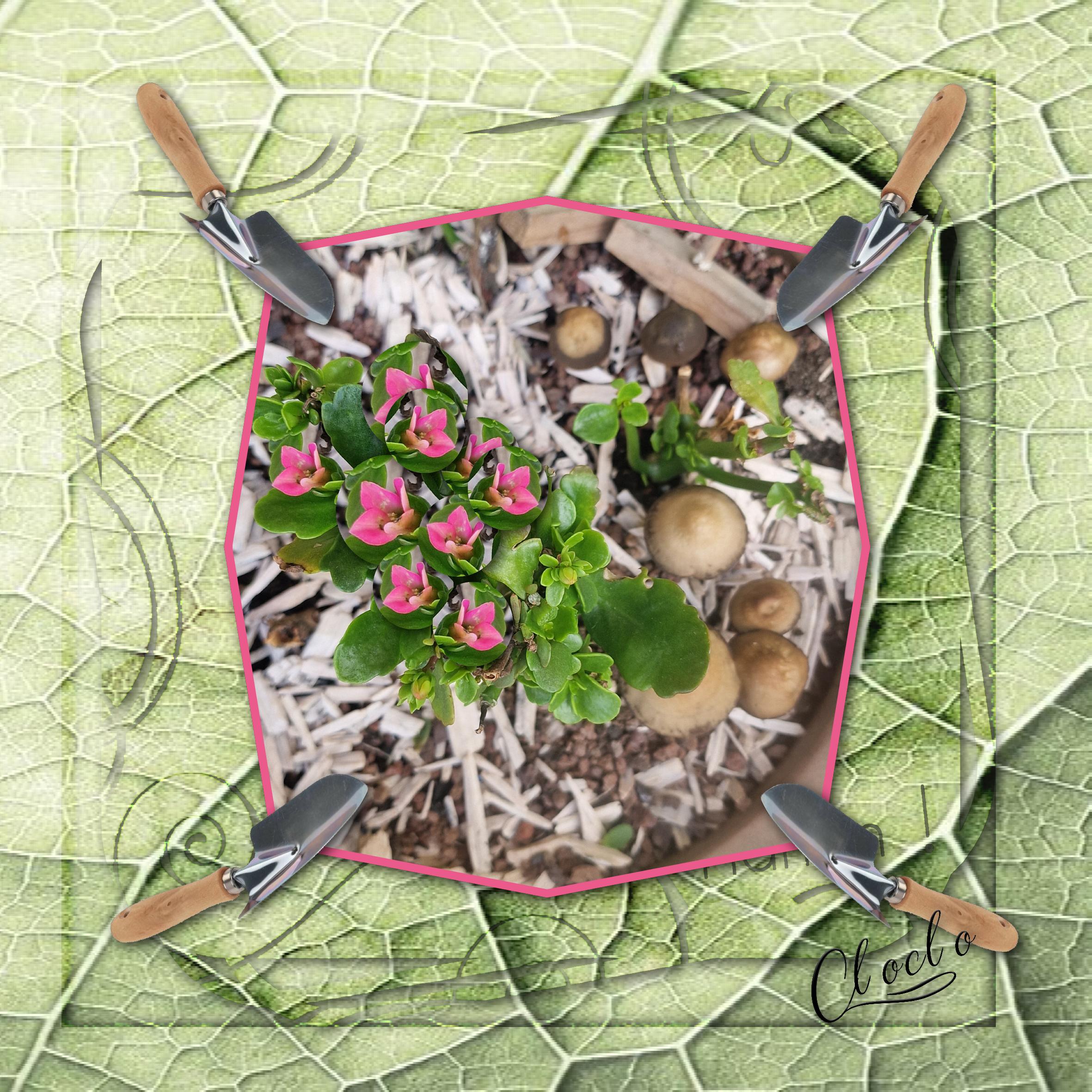 Composition 2 du 18 mars 2023.jpg