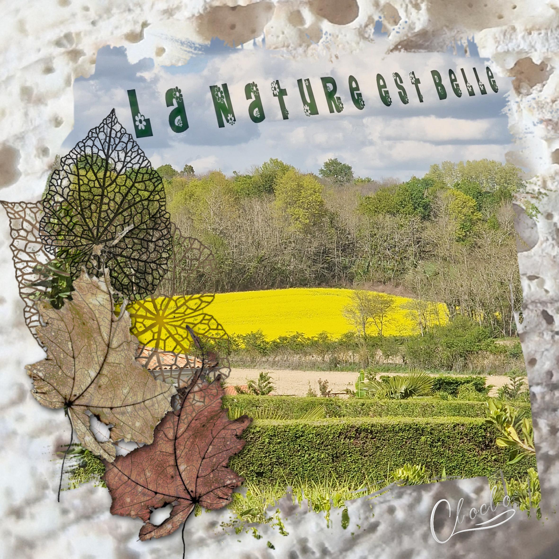 Composition 2 du 19 mai 2023.jpg