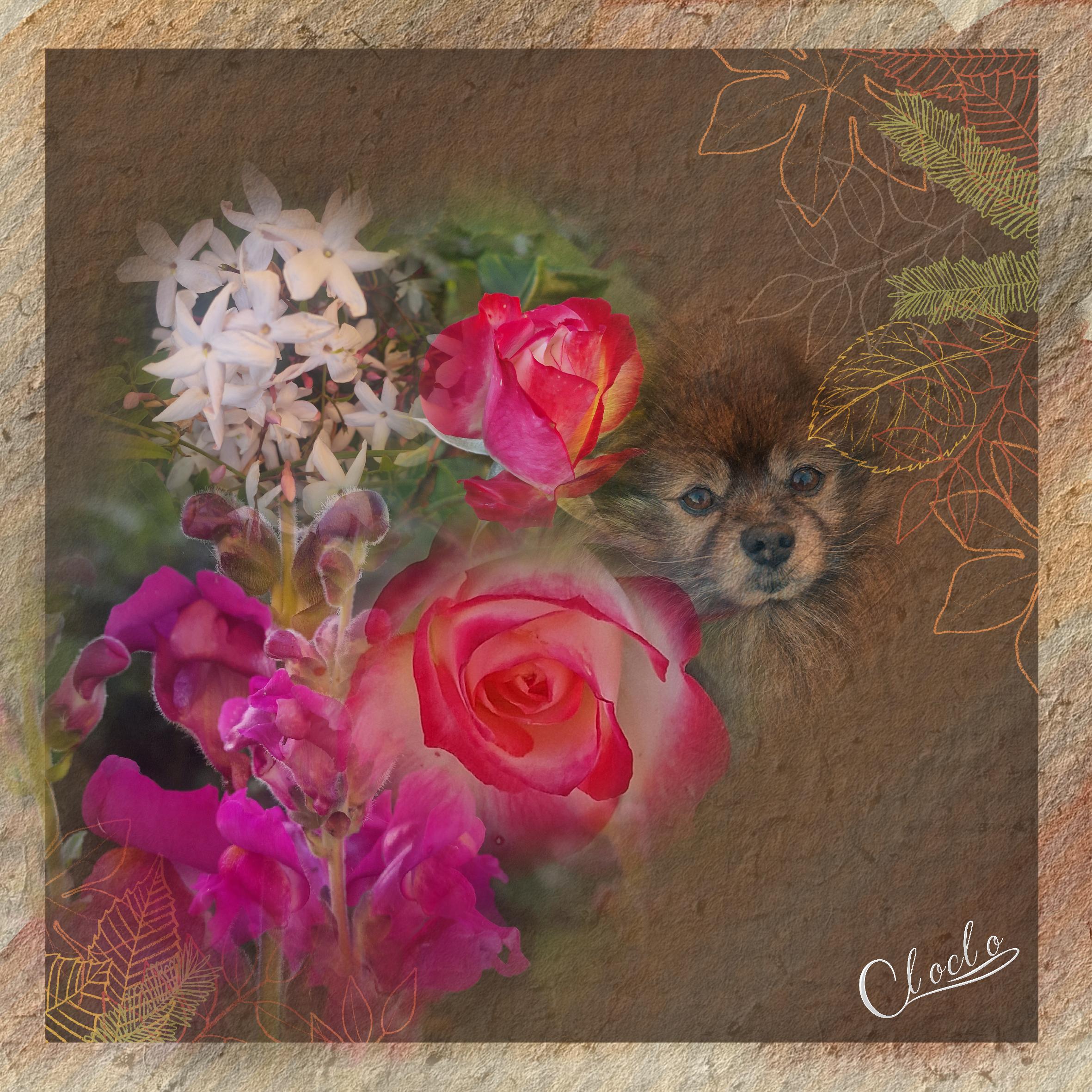 Composition 2 du 2 mai 2023.jpg