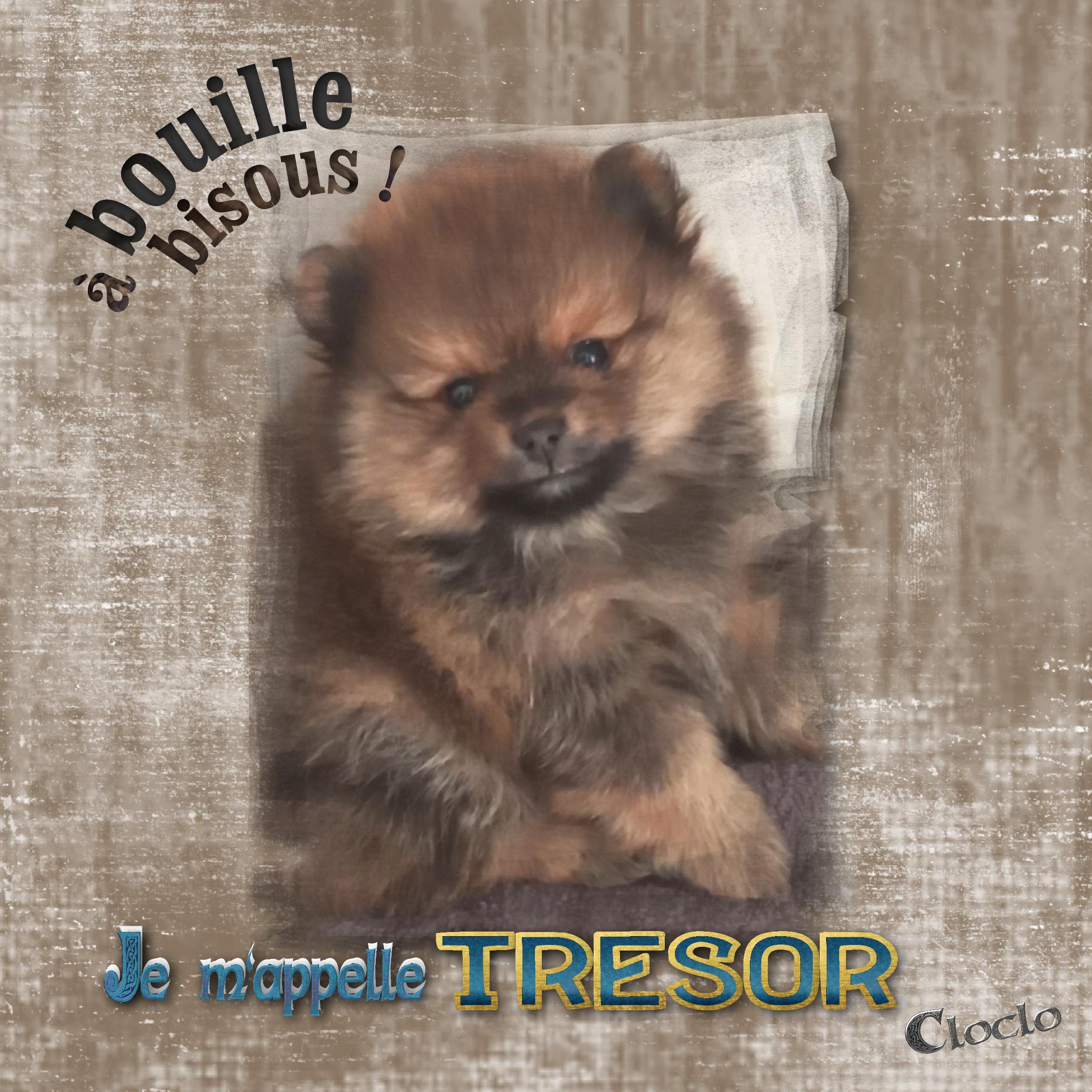 Composition 2 du 20 février 2024.jpg