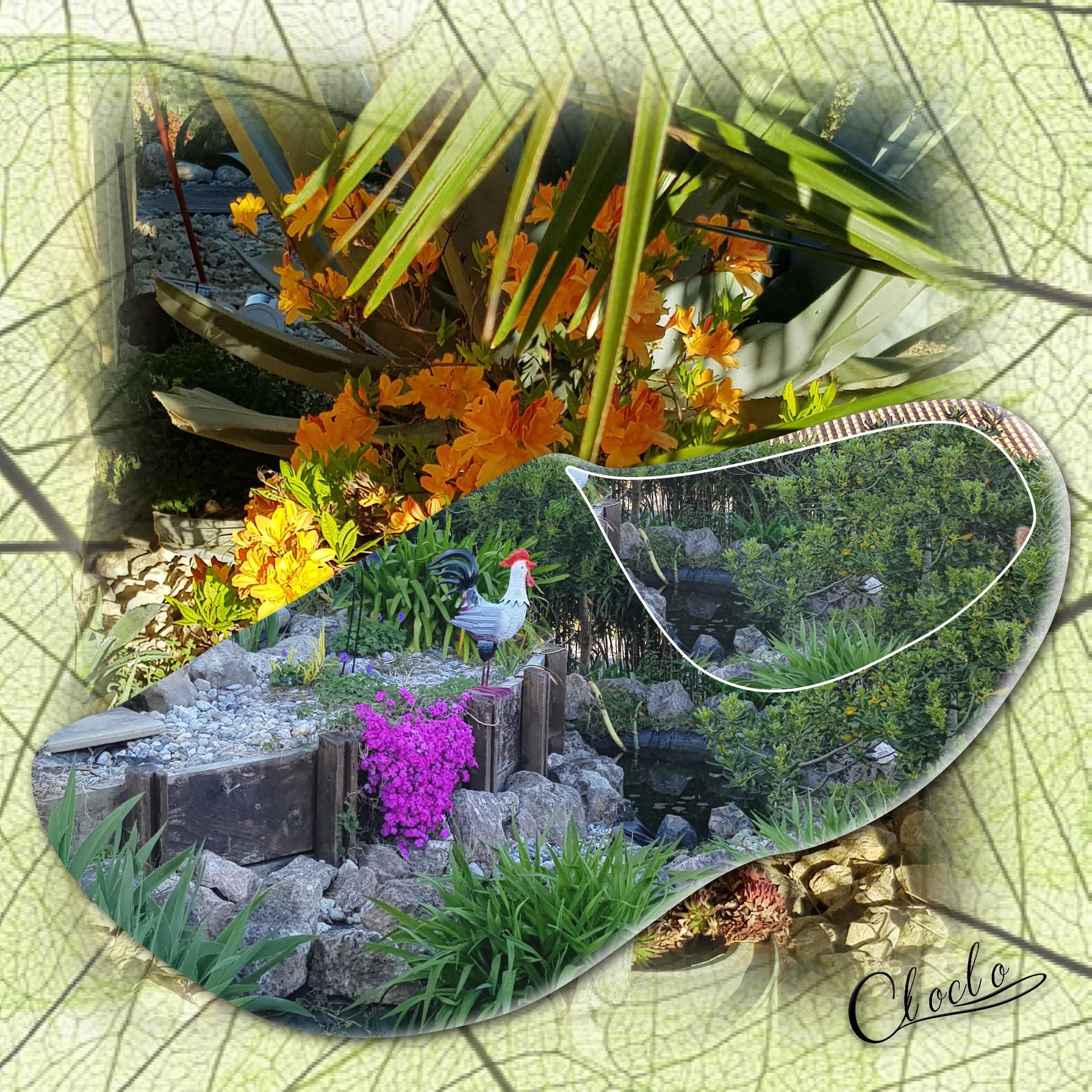 Composition 2 du 22 juin 2023.jpg