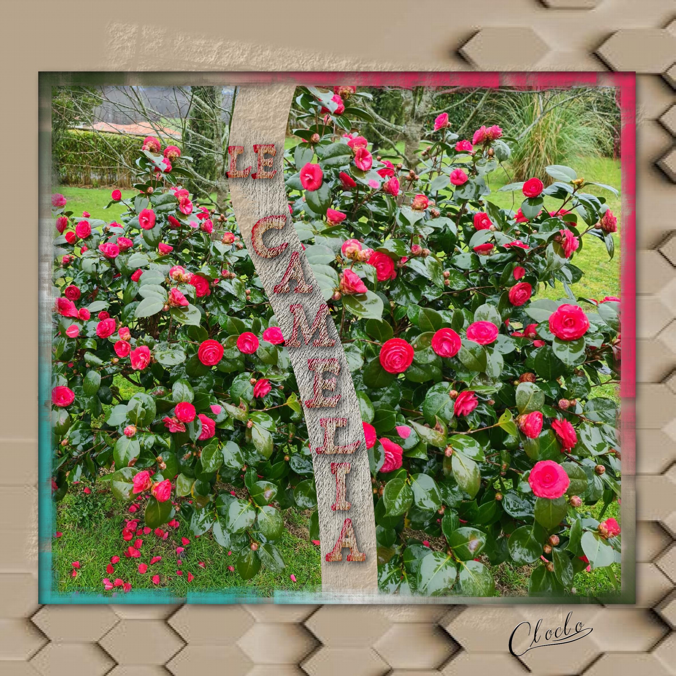 Composition 2 du 23 février 2023.jpg