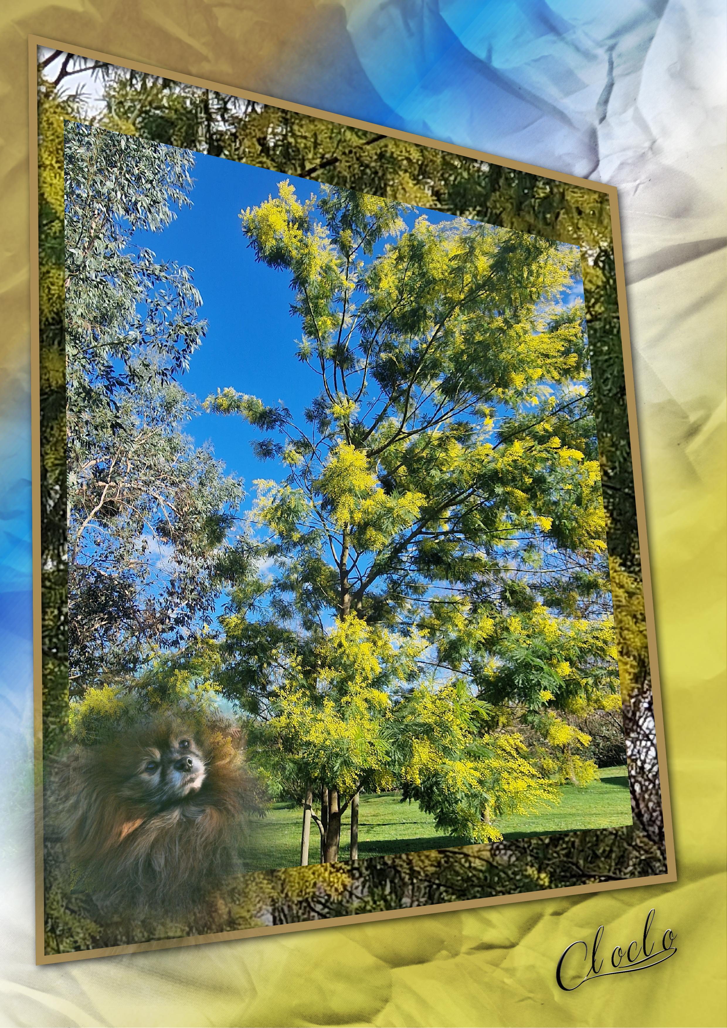 Composition 2 du 24 février 2023.jpg