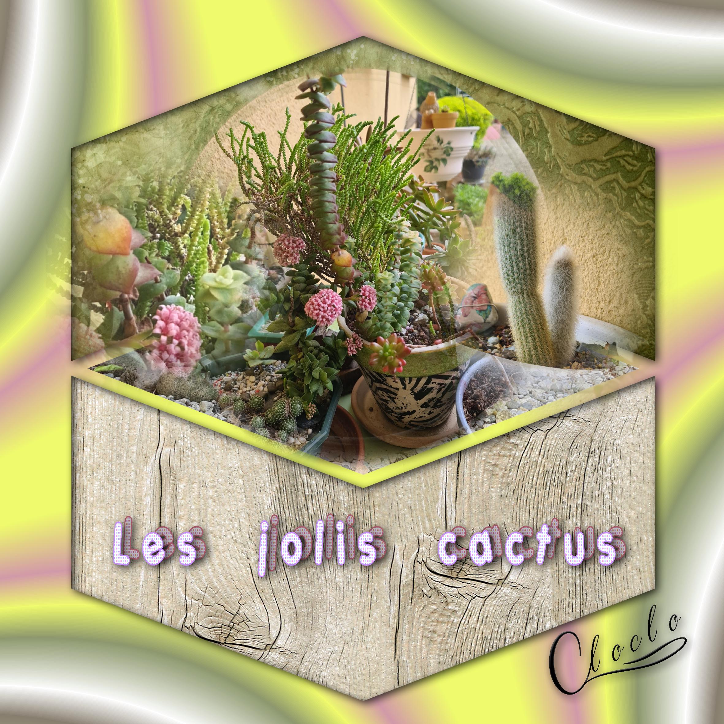 Composition 2 du 29 mars 2024.jpg