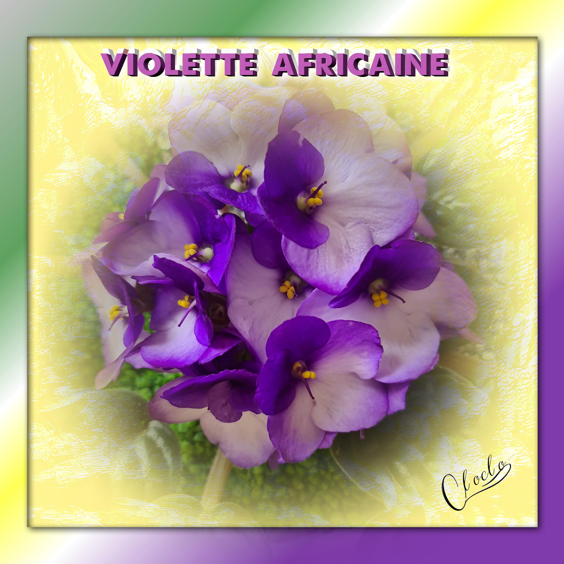 Composition 2 du 29 novembre 2023