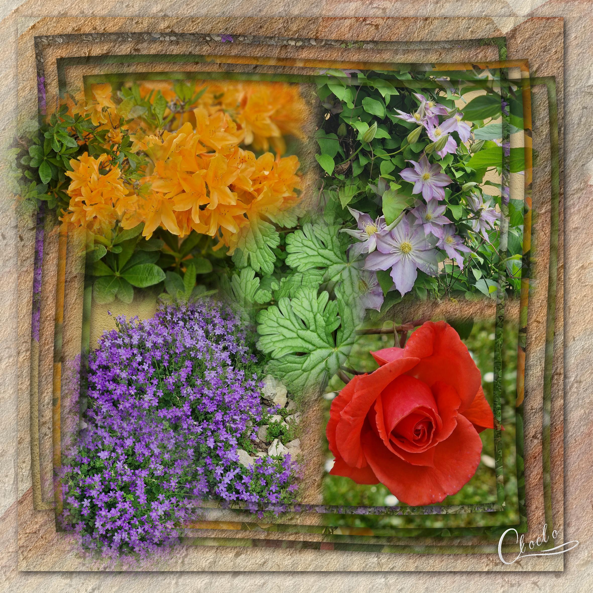 Composition 2 du 30 avril 2023.jpg