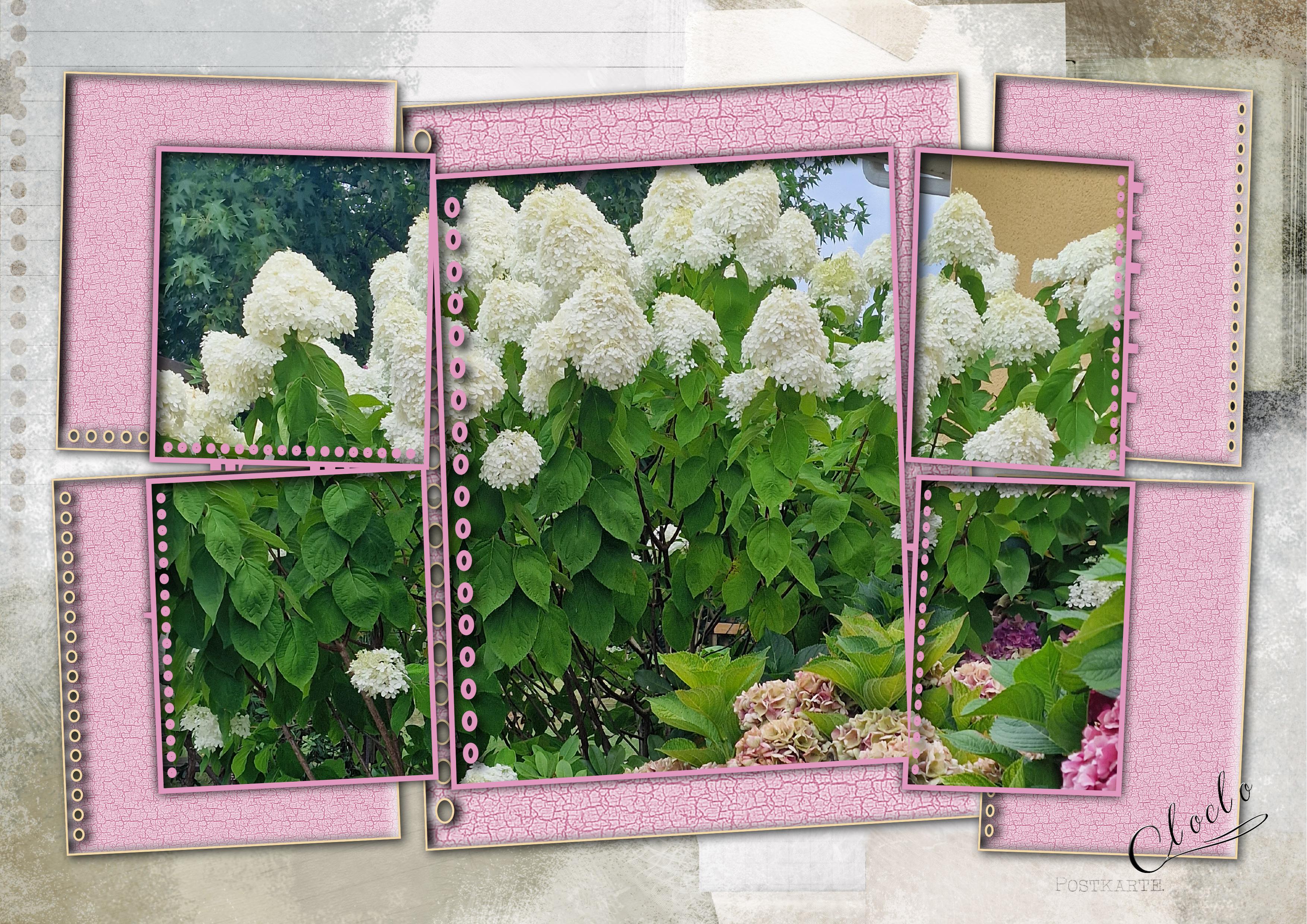 Composition 2 du 4 août 2023.jpg