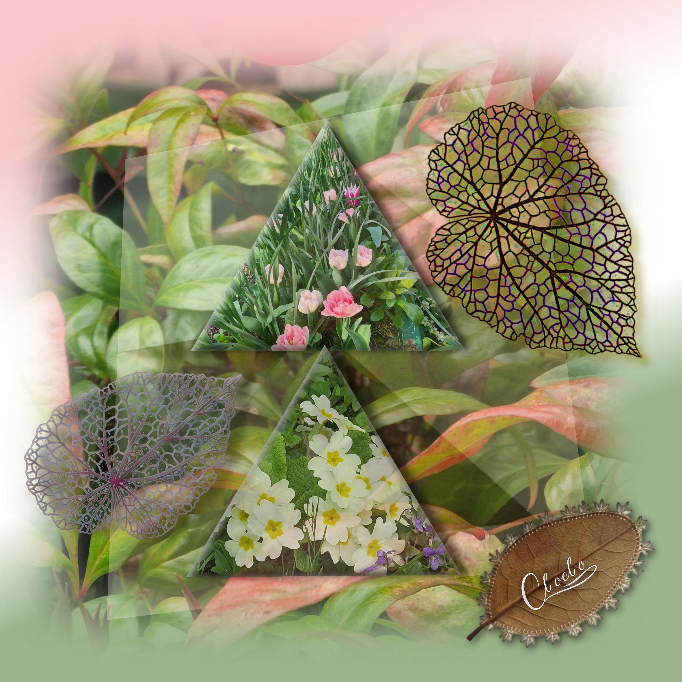 Composition 2 du 4 avril 2023.jpg