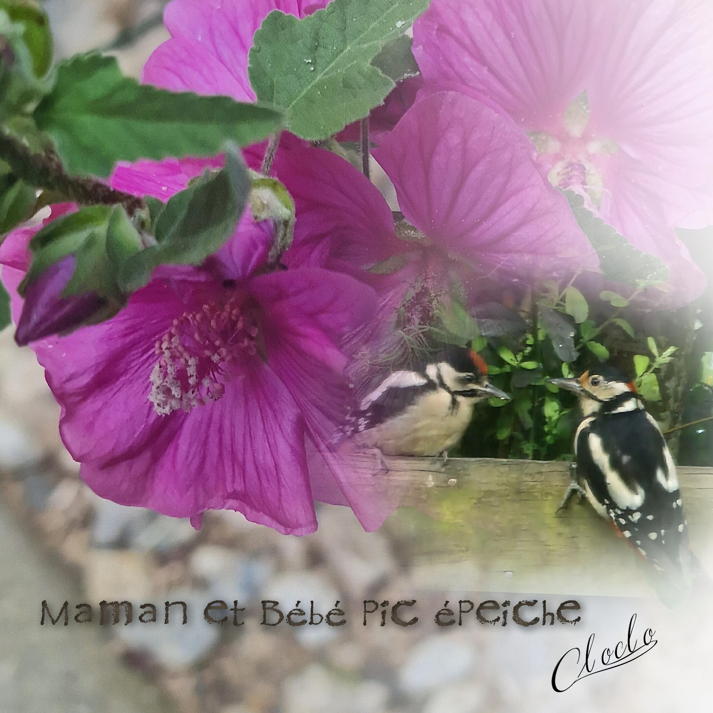 Composition 2 du 4 juin 2023.jpg