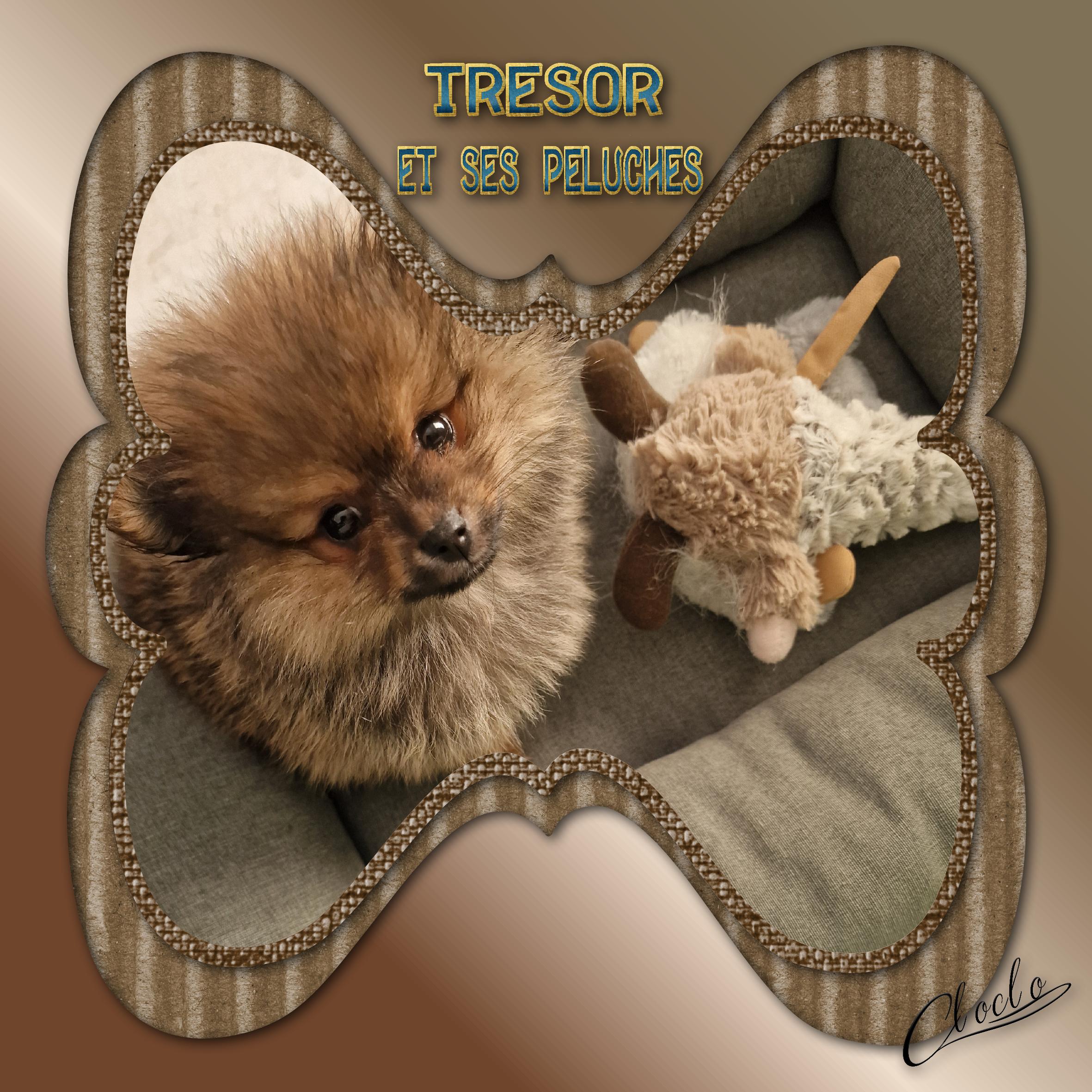 Composition 2 du 4 mai 2024.jpg