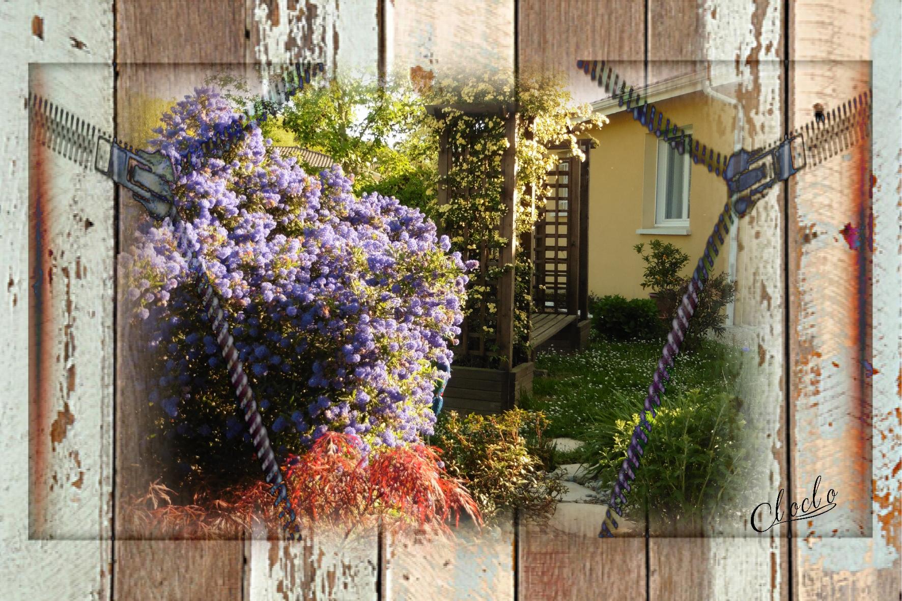 Composition 2 du 4 mars 2023.jpg