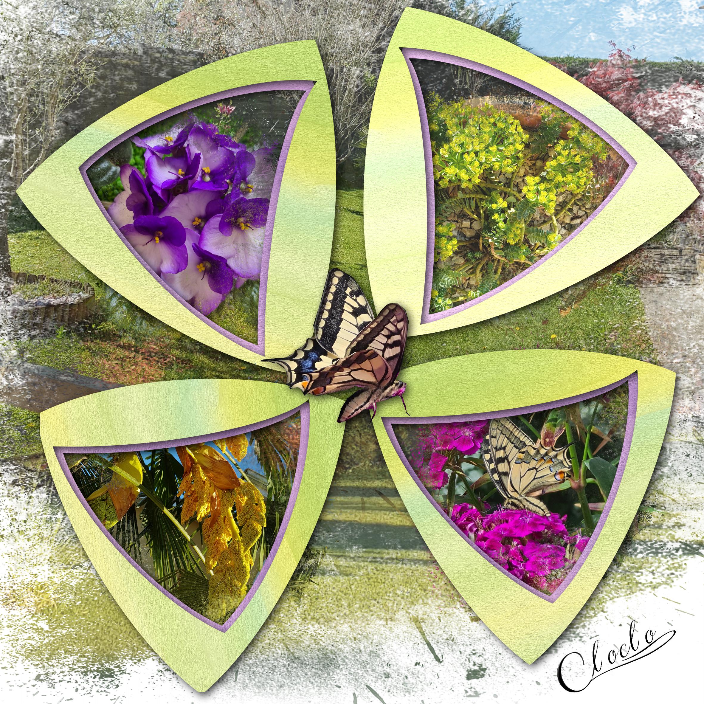 Composition 2 du 5 juillet 2023.jpg