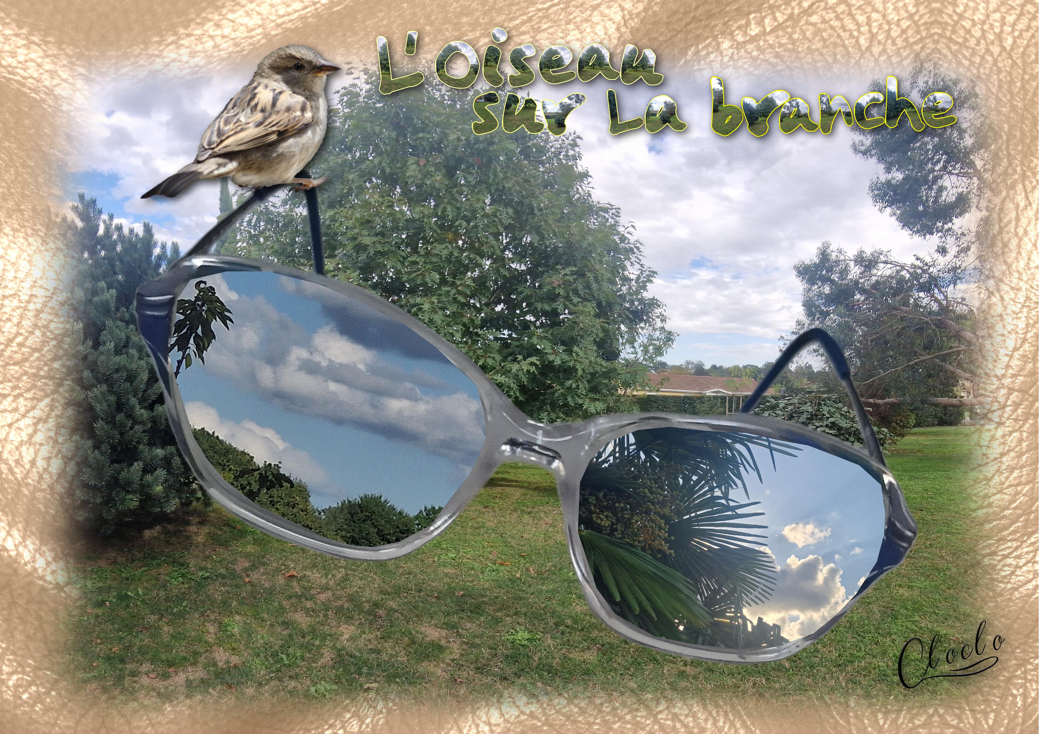 Composition 2 du 6 octobre 2023.jpg