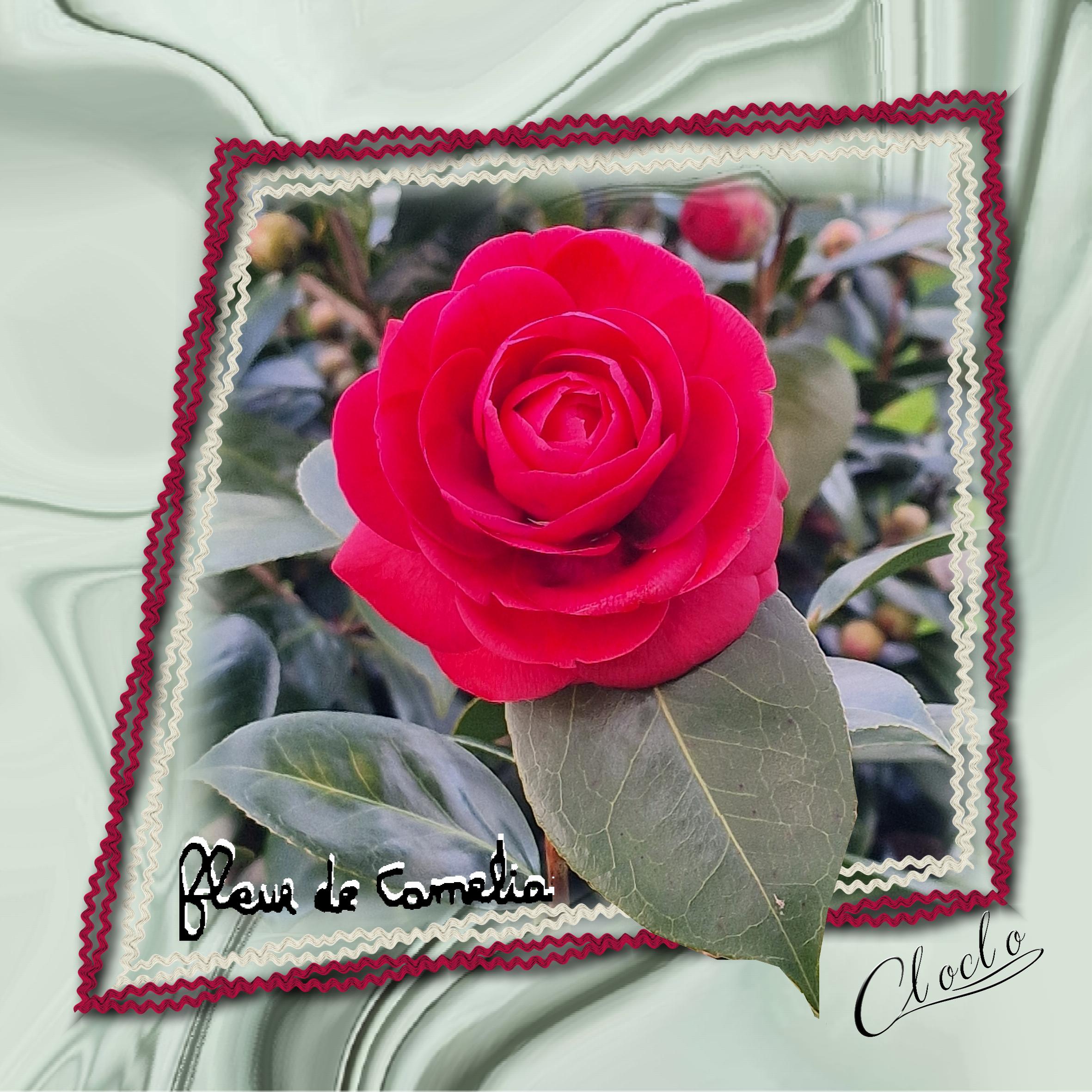 composition 2 du 8 janvier 2024.jpg