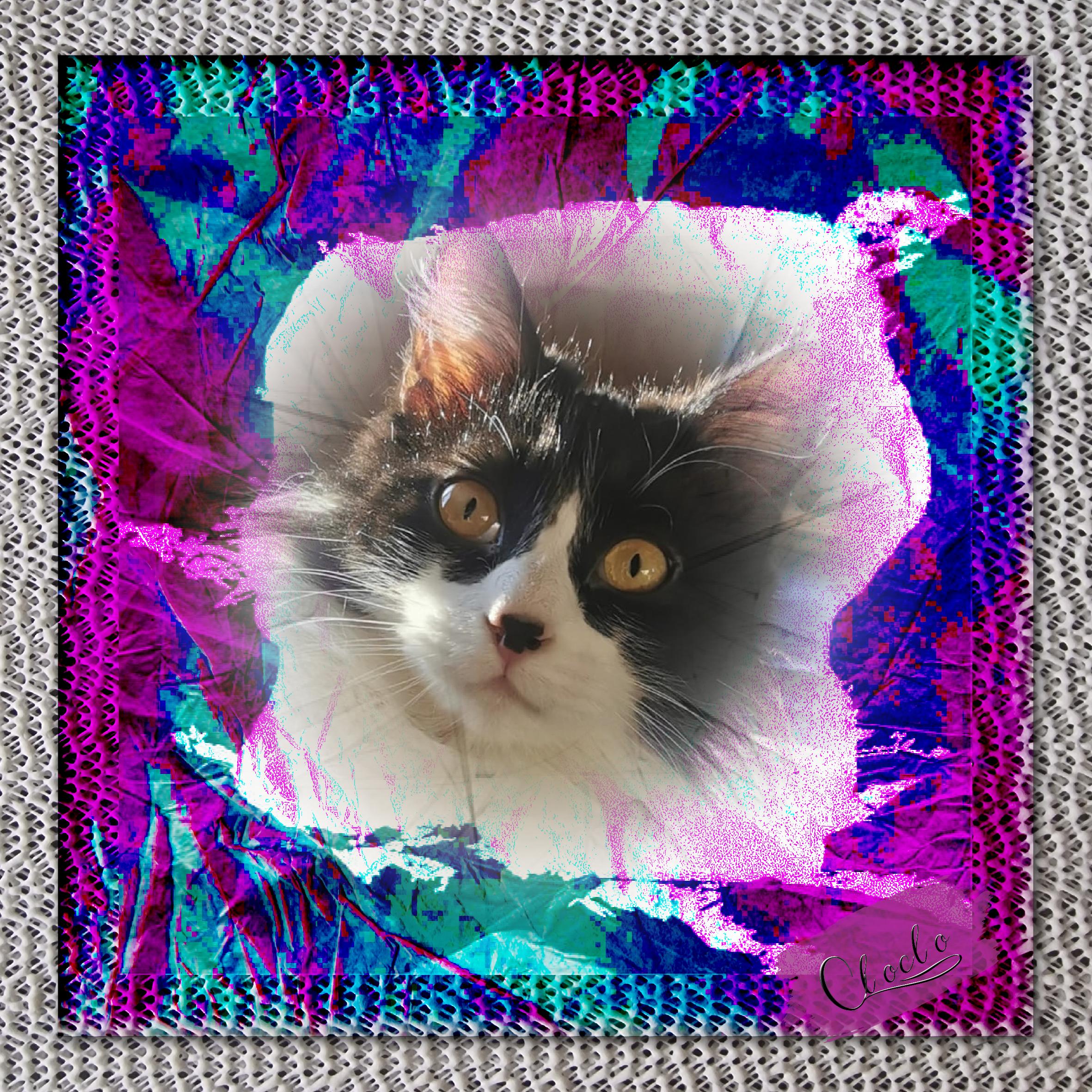 Composition 3 du 18 février 2023.jpg