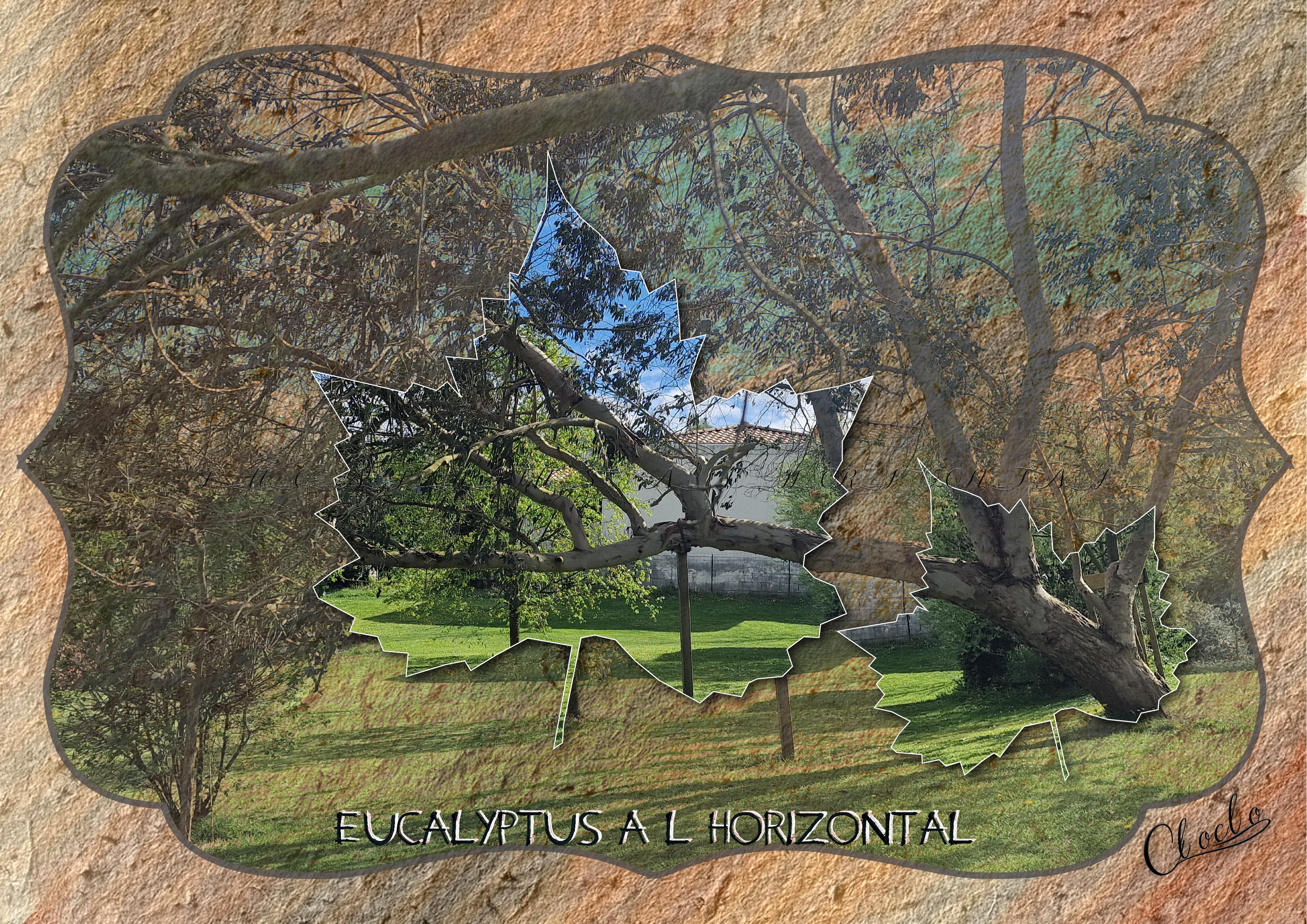 Composition 3 du 2 avril 2023 (page 2).jpg