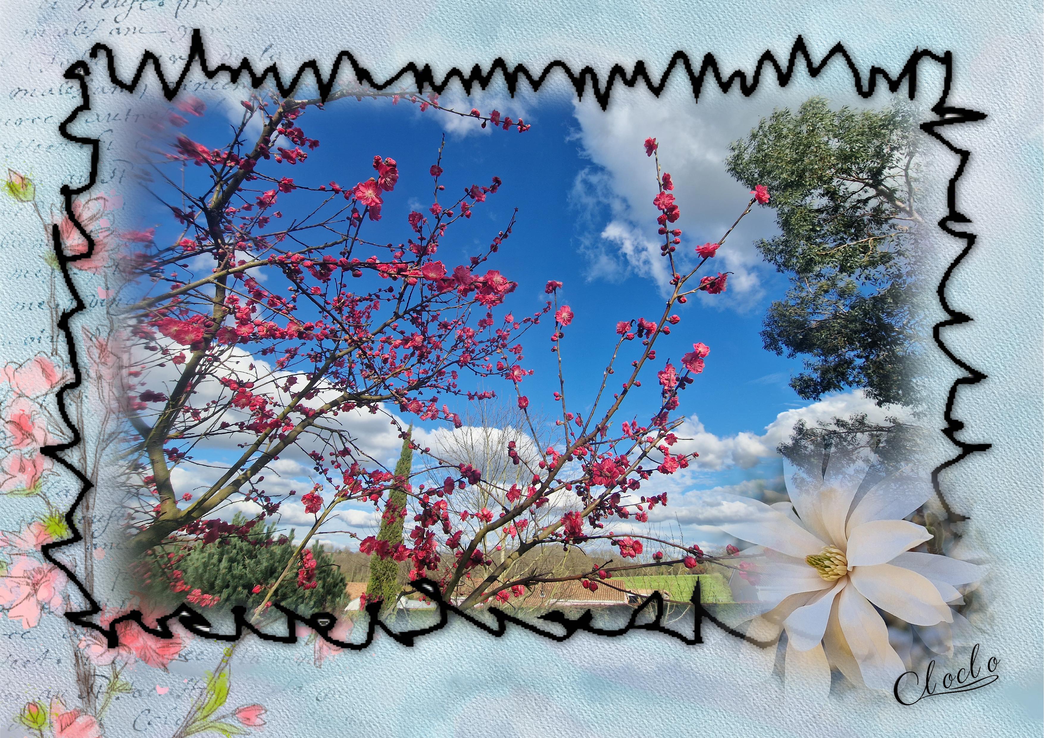 Composition 3 du 21 mars 2023.jpg