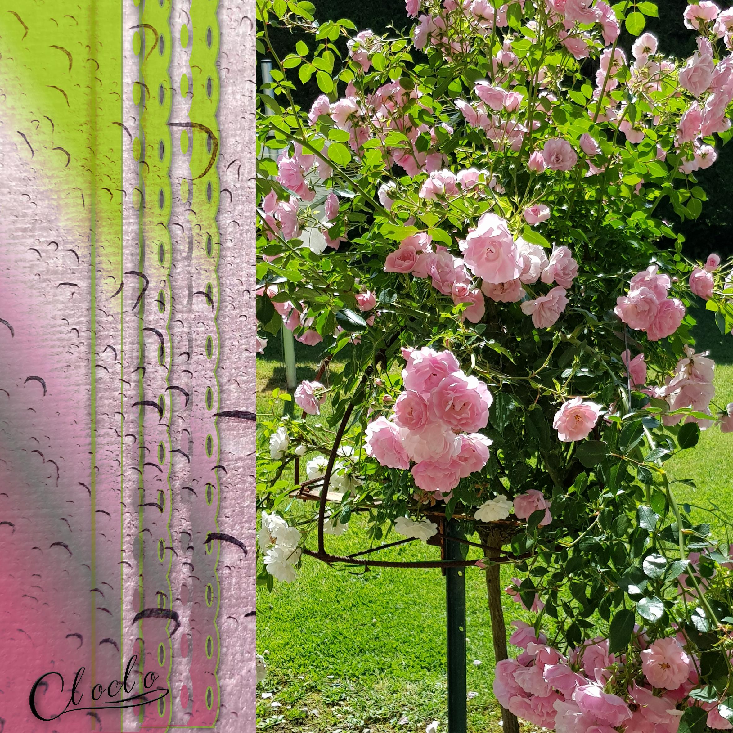 Composition 3 du 5 juillet 2023.jpg