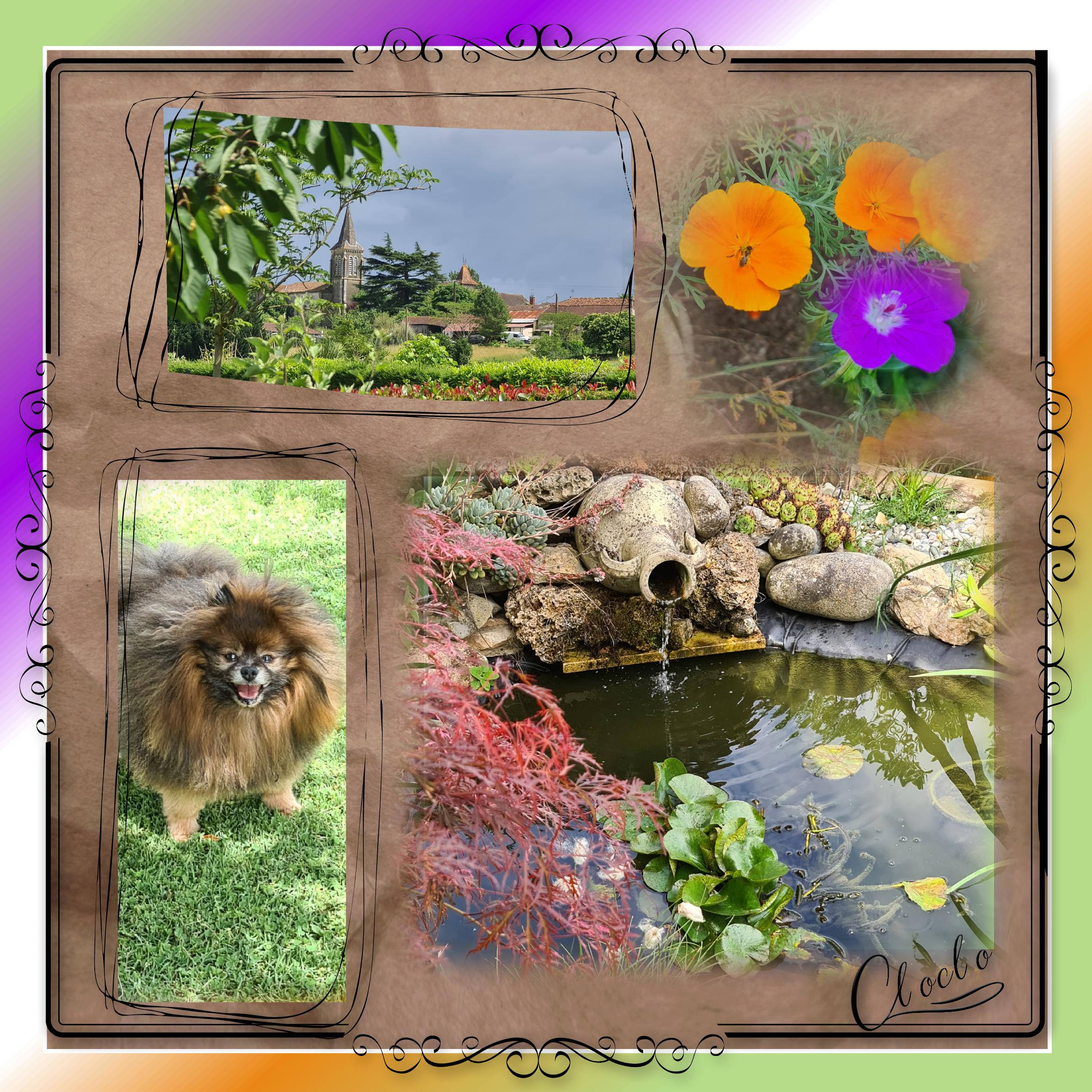 Composition 4 du 29 novembre 2023.jpg