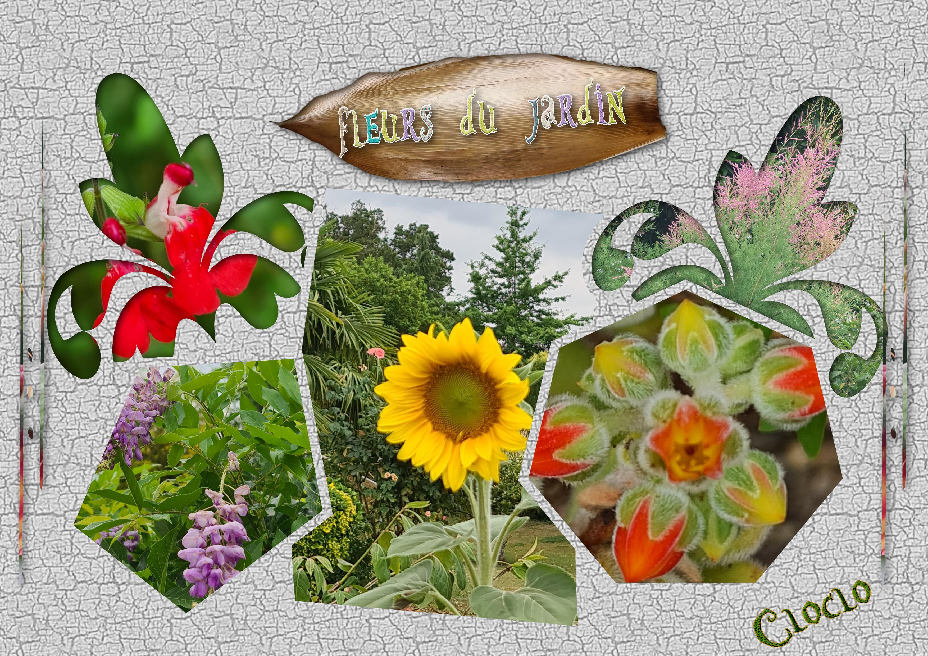 Composition avec fleurs du jardin 23 juin 2022.jpg