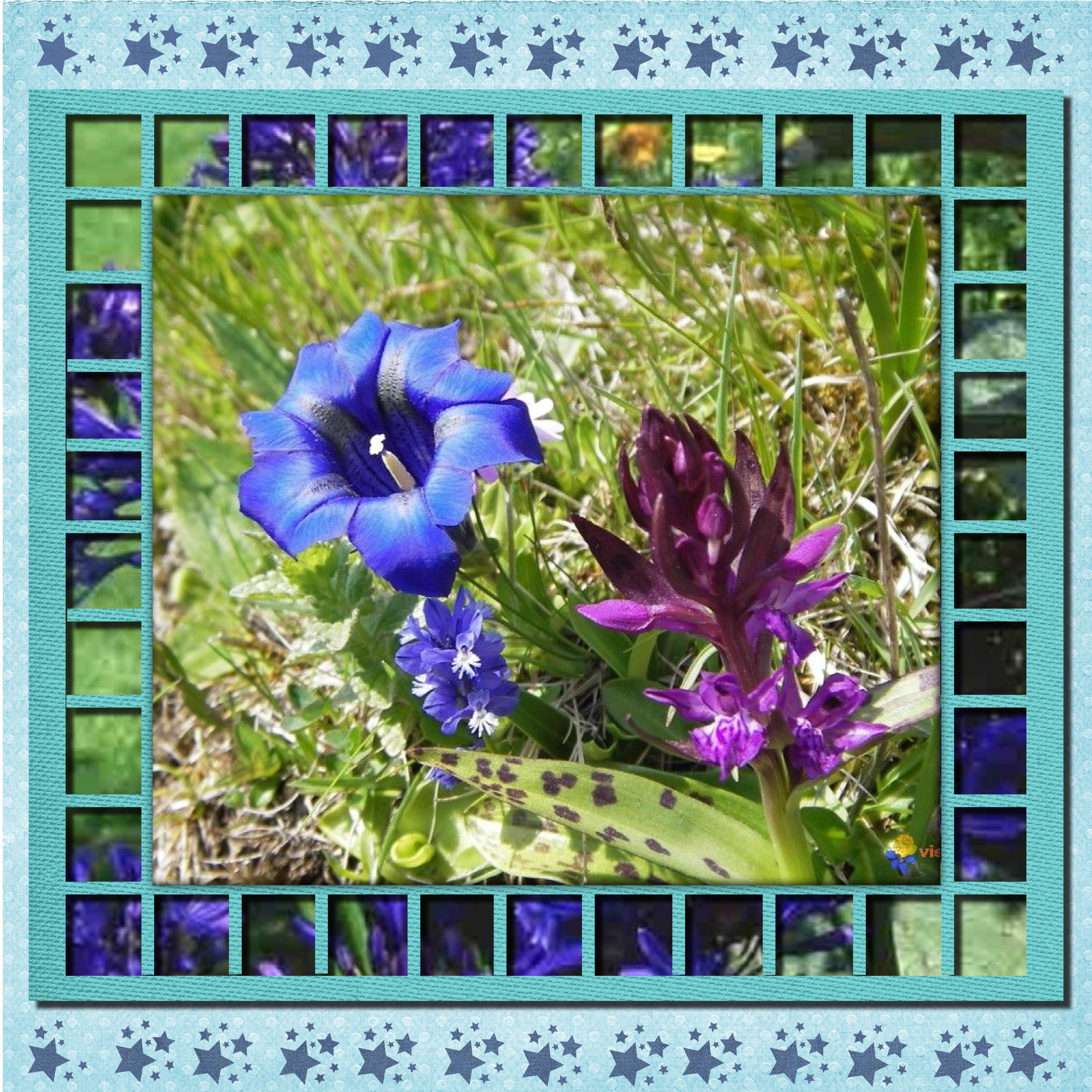 composition  bleue.jpg