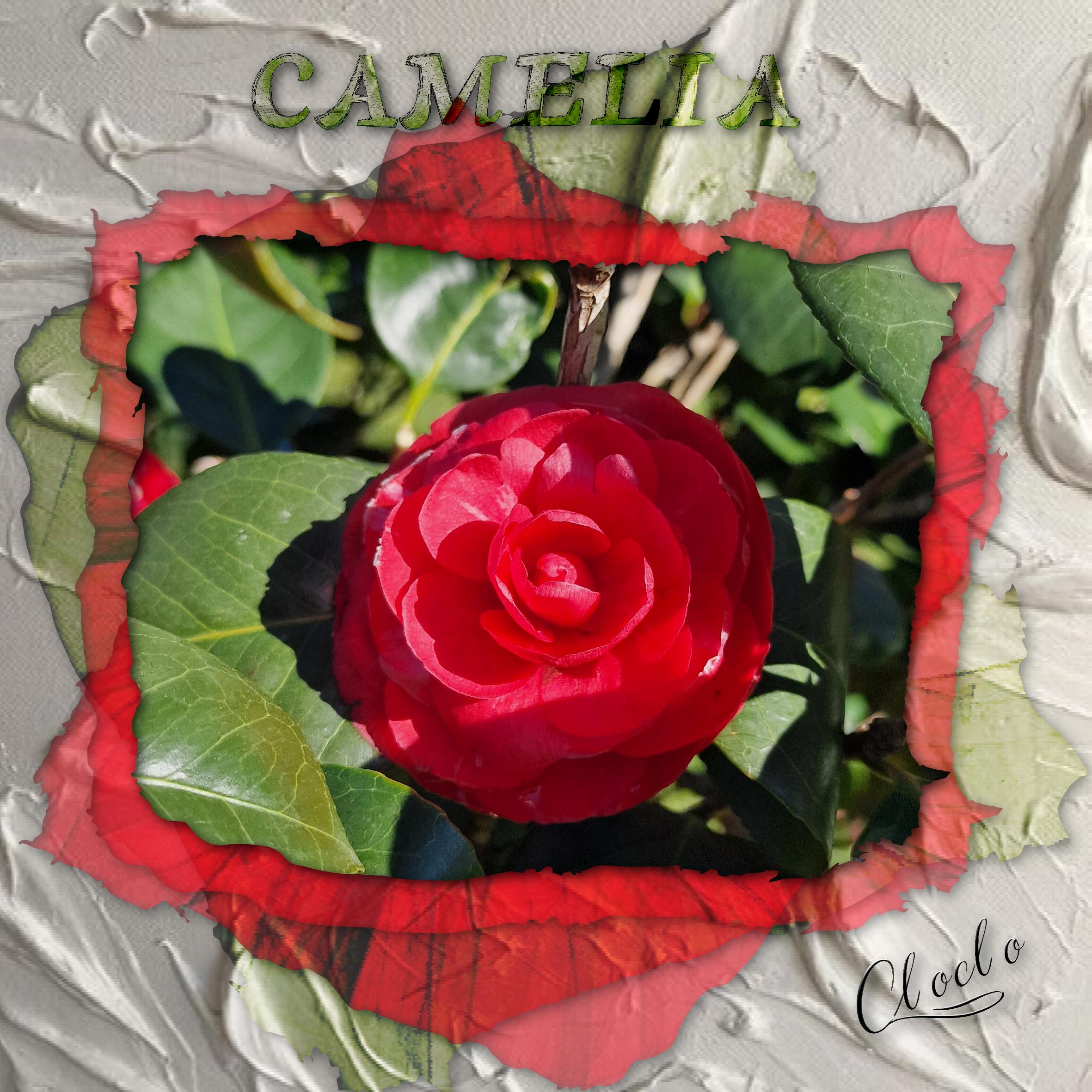 Composition du 1 du 24 février 2023.jpg