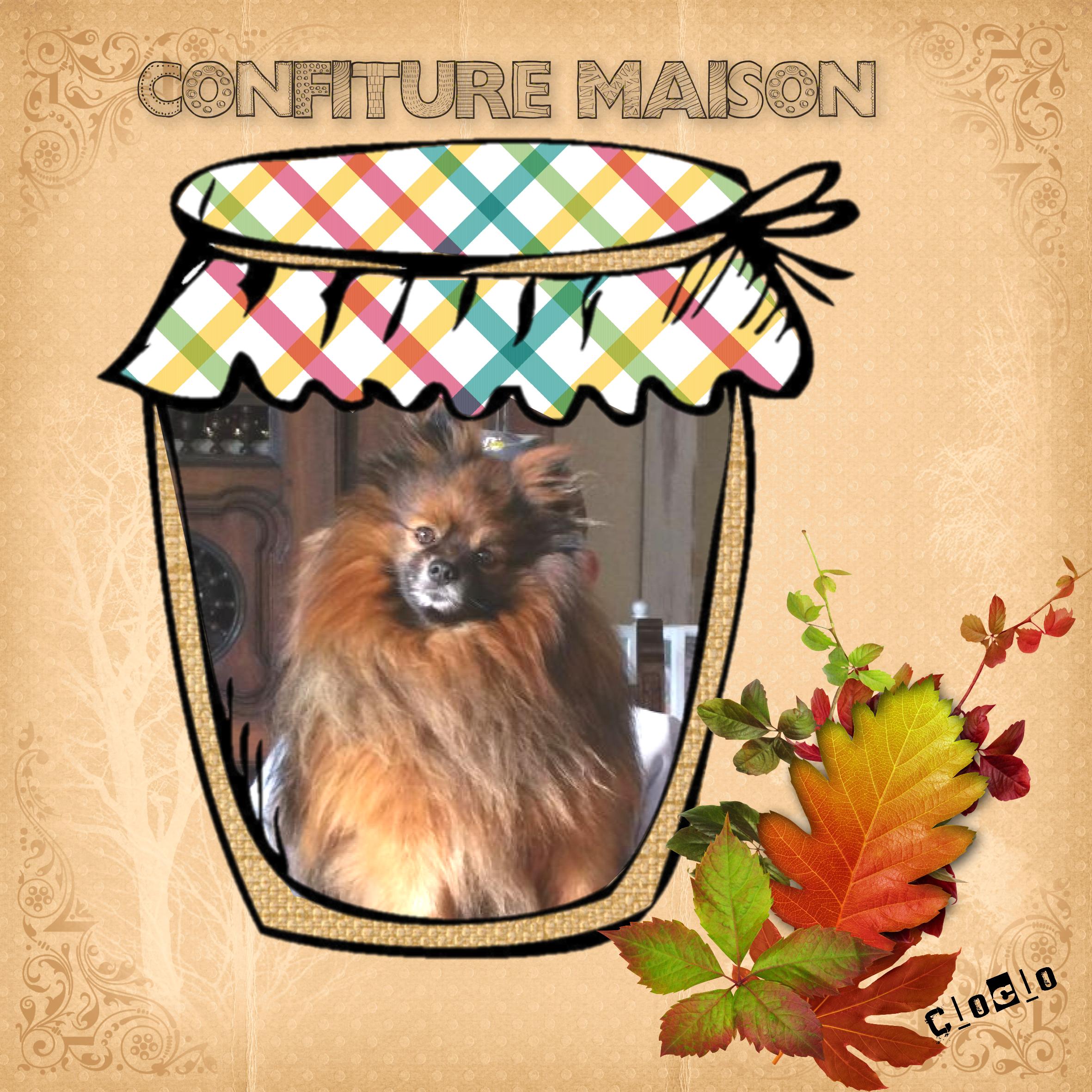 Composition du  10 octobre 2022.JPG