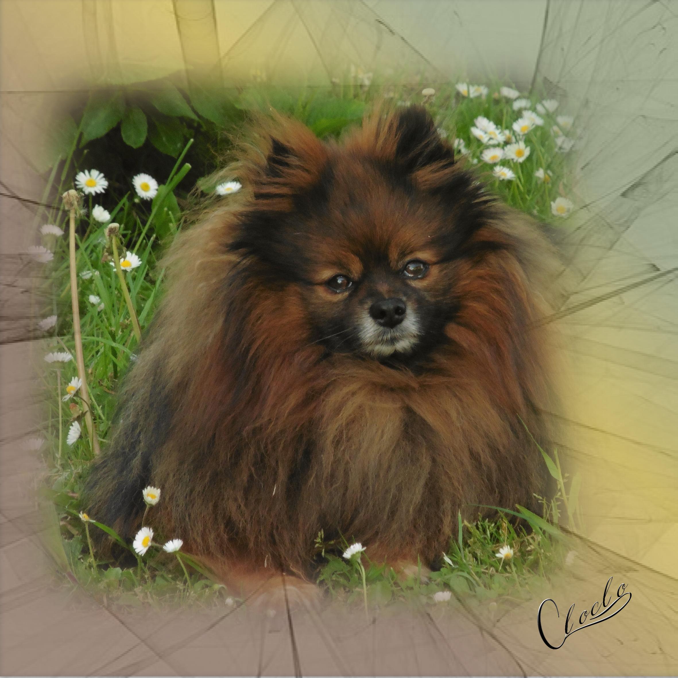 Composition du 11 février 2023.jpg