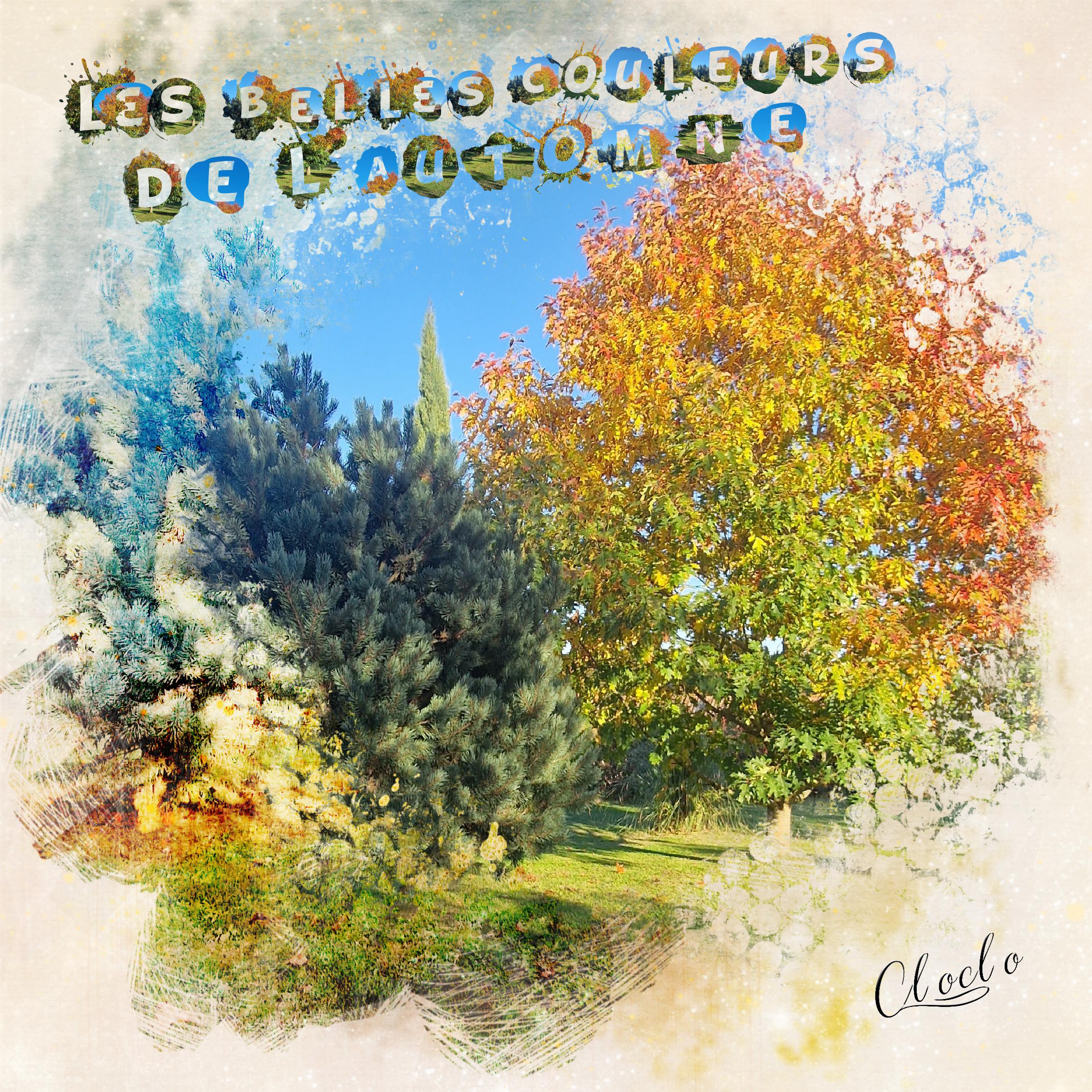 Composition du 11 novembre 2022.jpg