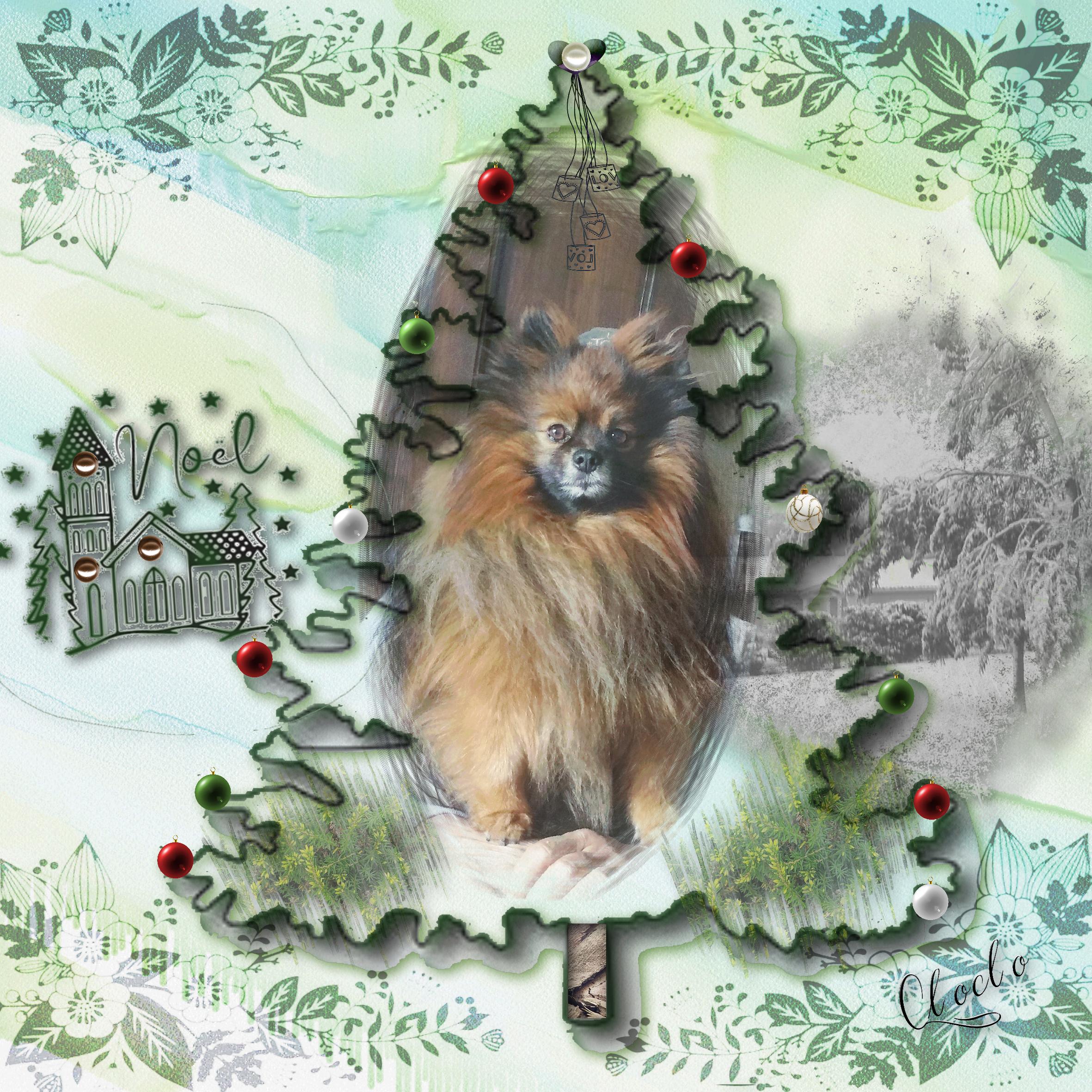 Composition du 16 décembre 2022.jpg