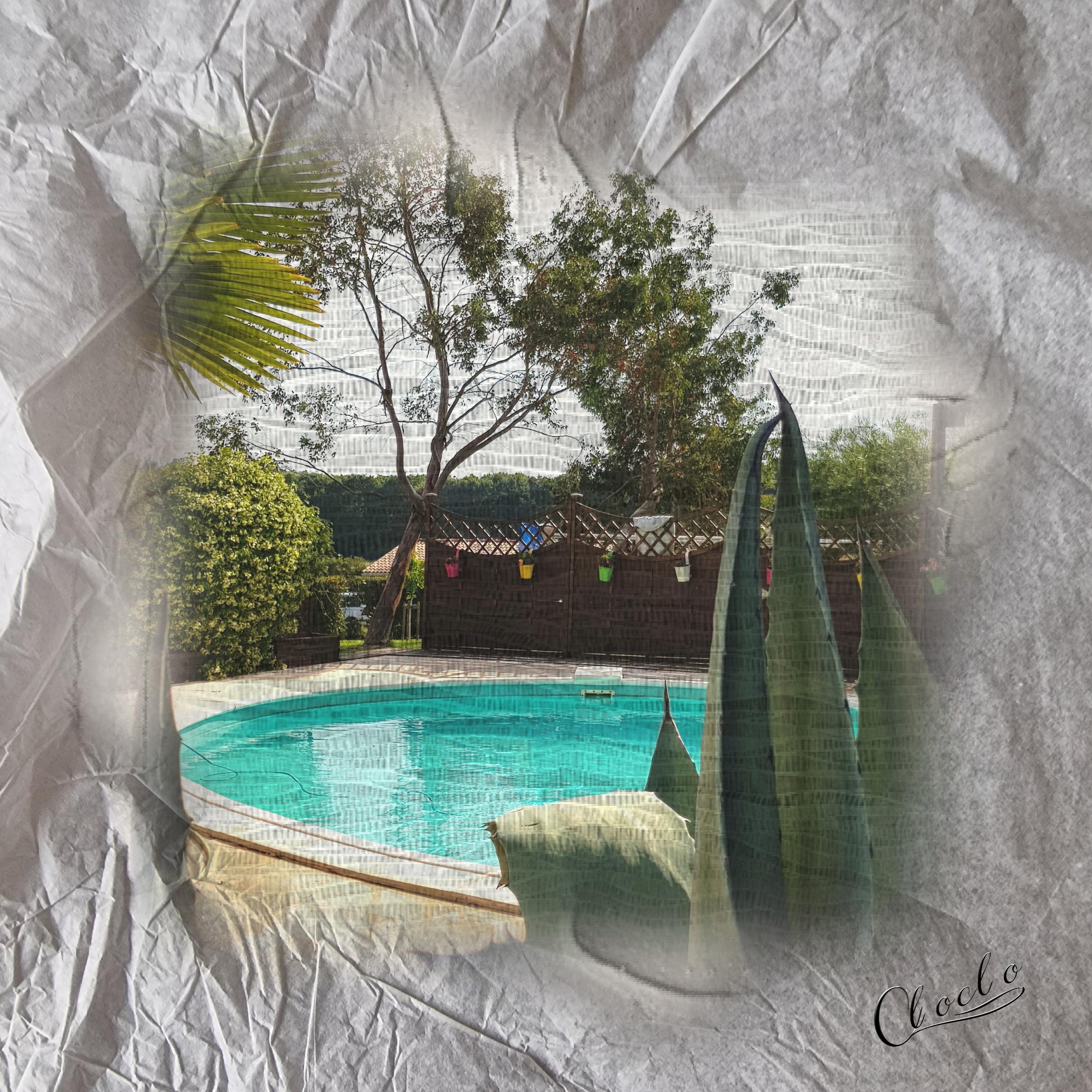 Composition du 16 février 2023.jpg